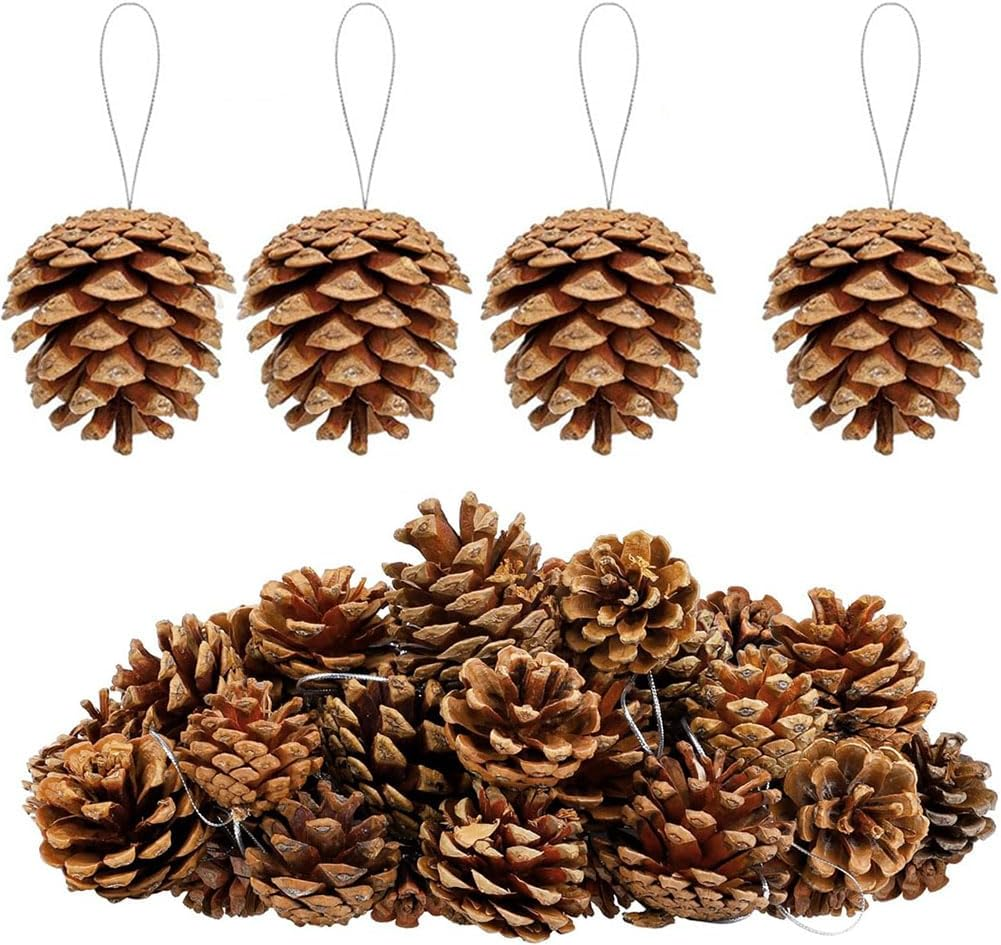 20 Pieces Christmas Pine Cones with String Mini Rustic Pinecones Bulk Rustic Snow Pinecones Ornaments for Xmas Tree Crafts Holiday Home Party (Brown, 5-6Cm)