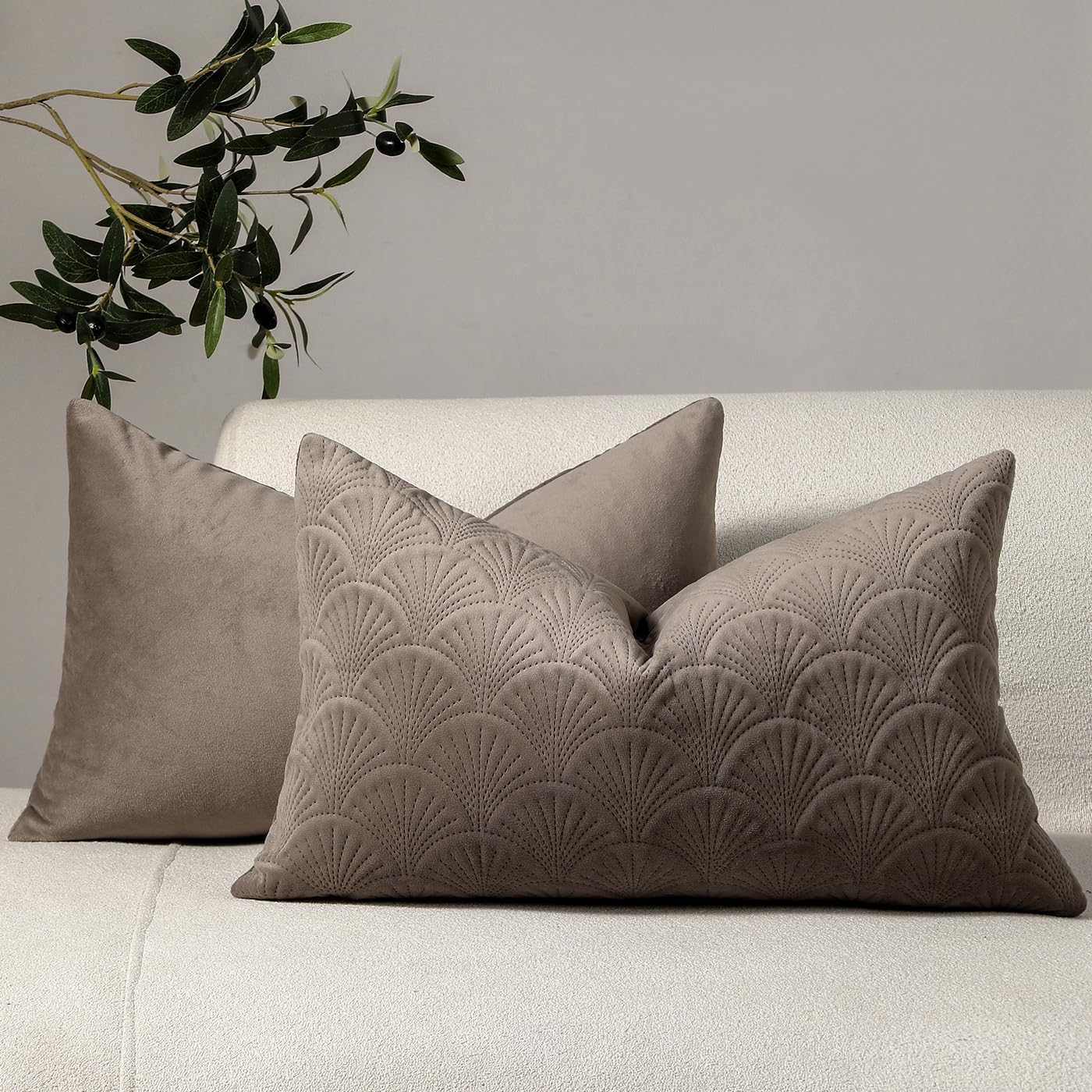 Pack of 2 Velvet Decorative Throw Pillow Covers, Embossed Patterned Couch Cushion Covers Soft Solid Cushion Cases with Invisible Zipper for Sofa Bed Living Room Car Chair Couch Farmhouse Home Decor