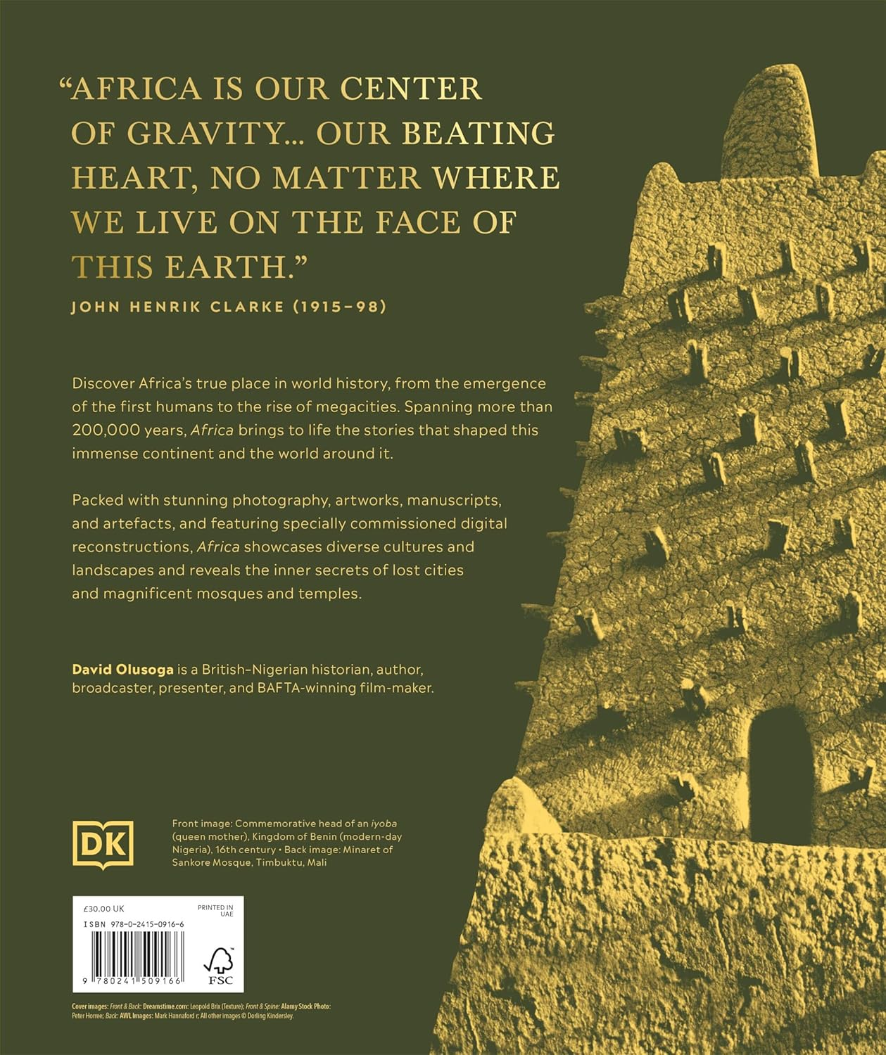 Africa: the Definitive Visual History of a Continent image number 1