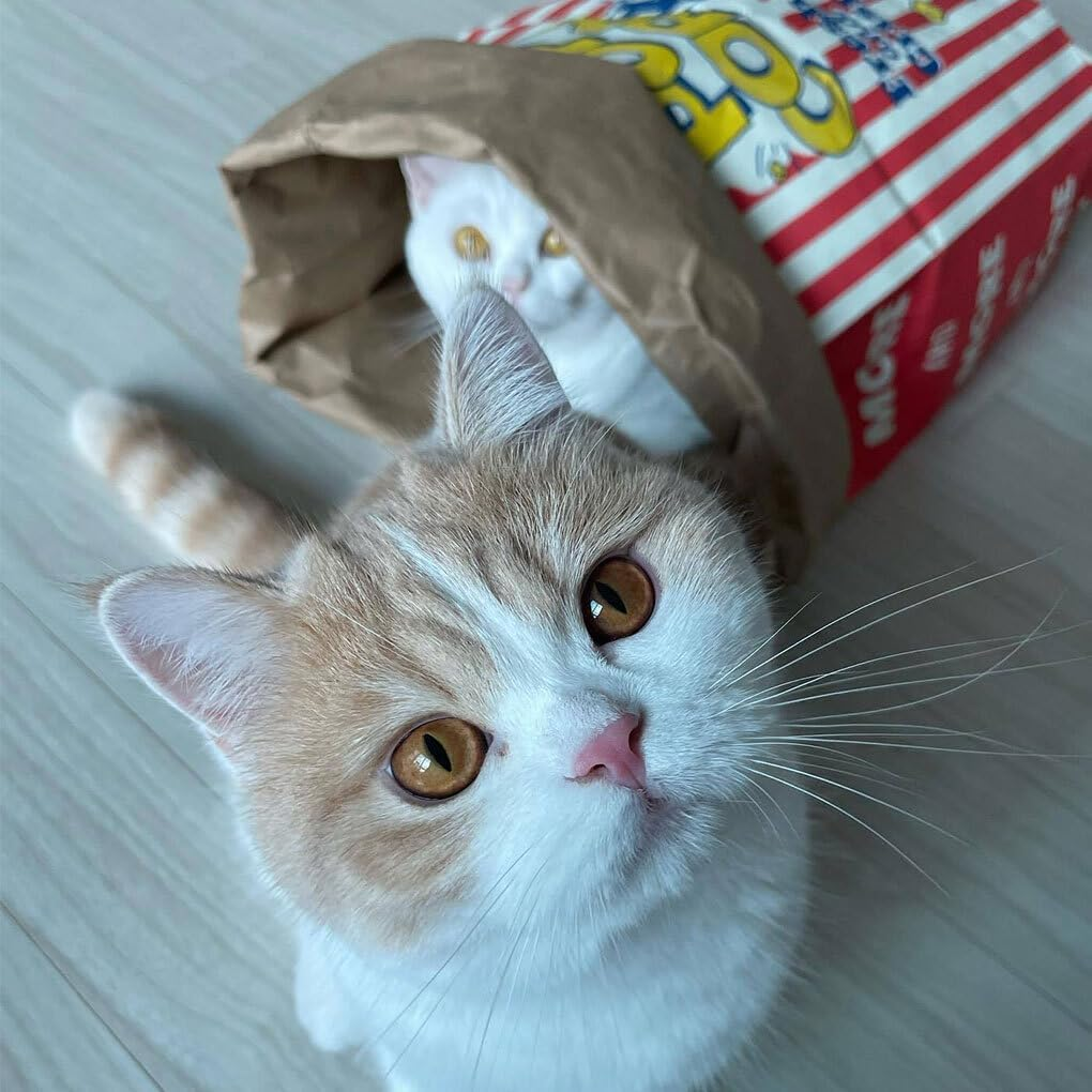 CLSSLVVBN Clean and Lovely Popcorn Paper Bag Cats Seek and Play Activities and Paper Bag Nest Specially Designed for Pets Pet Cat image number 2