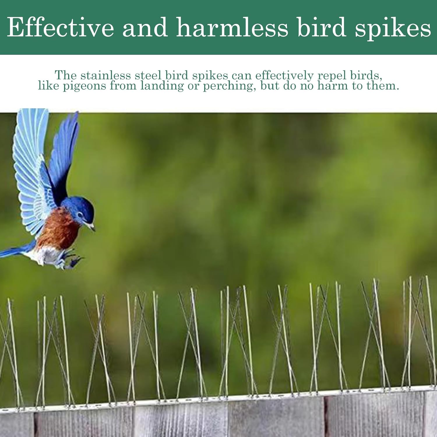 Bird Spikes with Stainless Steel Base, 11.48 Feet （3.5M） Pigeon Spikes, Pigeon Spikes Balcony, Bird Spikes for Balcony Roofs and Window Sills to Protect against Birds, Crows and Woodpeckers image number 2