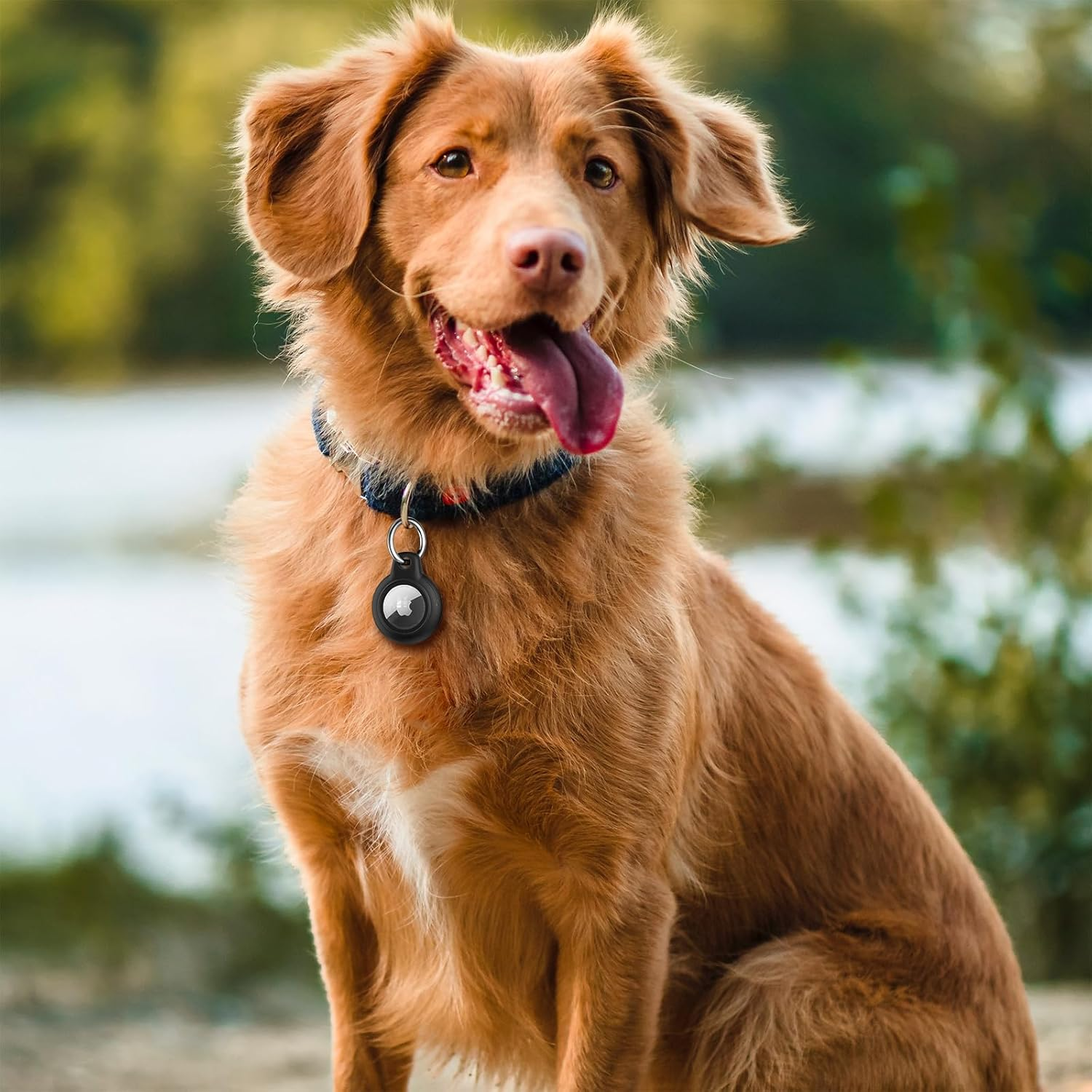 Leonids for Airtag Holder for Apple Airtag 2021, Waterproof & Anti-Scratch Protective Case with Anti-Lost Keyring for Pet Collar, Backpack, Luggage - Black image number 6