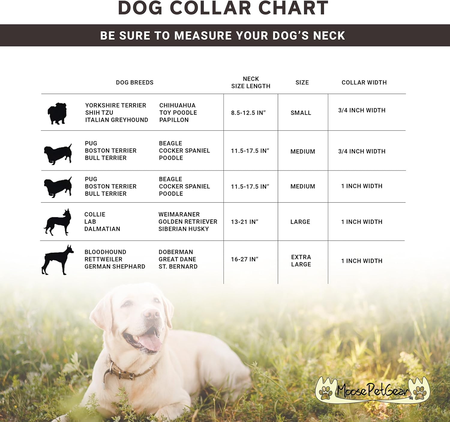 Moose Pet Wear Dog Collar &ndash; Washington State University Cougars Adjustable Pet Collars, Made in the USA &ndash; 3/4 Inch Wide, Small, Red/Gray Box Logo image number 5