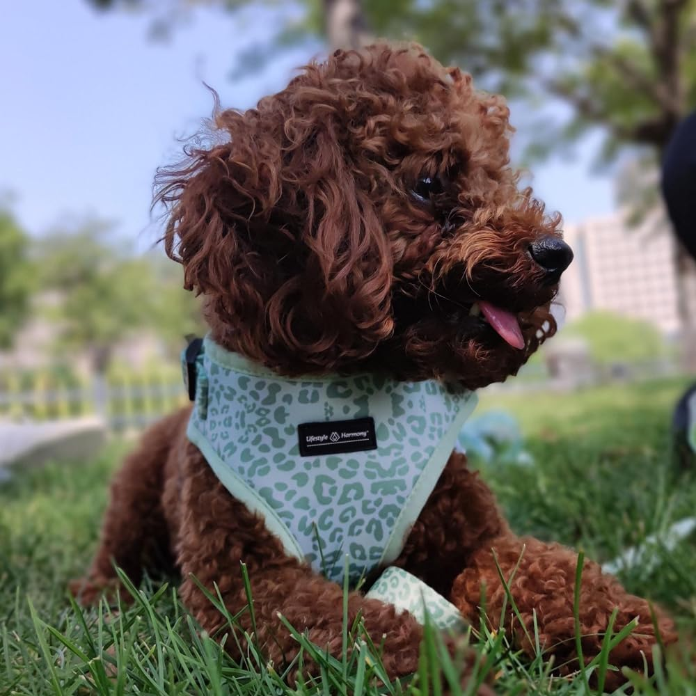 Adjustable Pet Harness and Leash Set&mdash;No-Pull, Lightweight, Breathable, Soft-Padded, Escape-Proof Comfortable for Puppies,Small Dogs,Cats,All Fur Animals. Leash for Easy Walks (Large, Camouflage) image number 3