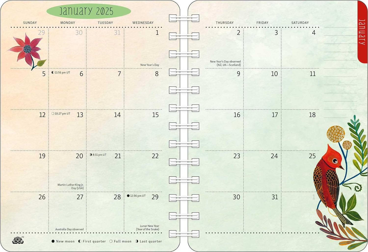 Birds of a Feather 2025 Weekly Planner Calendar: Watercolor Bird Illustrations by Geninne Zlatkis image number 6