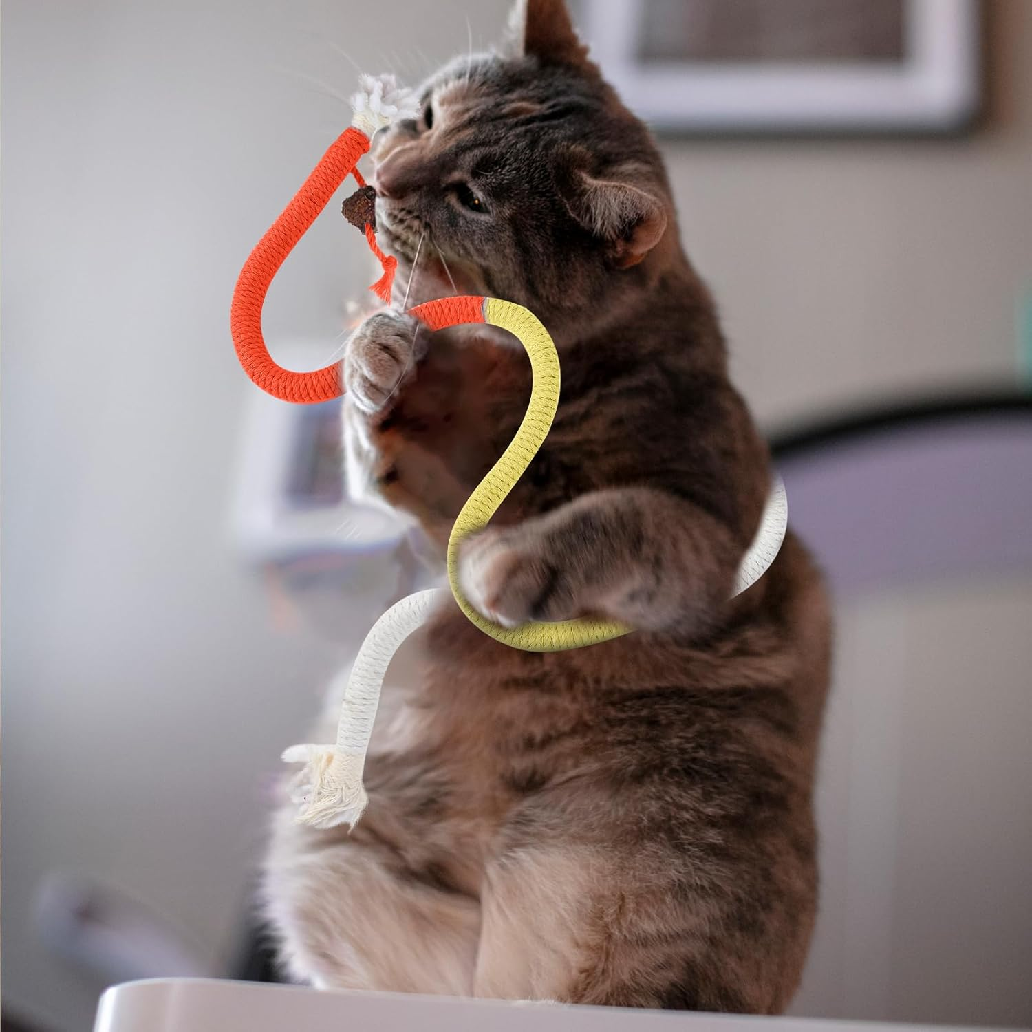 2Pcs Catnip Toys, Cat Rope Chew Toys, 70Cm Bite-Resistant Sisal Rope Cat Toy for Indoor Kitten, Teeth Cleaning Chew Toys for Pet Goods Interactive Bite-Proof Supplies for All Breeds image number 1