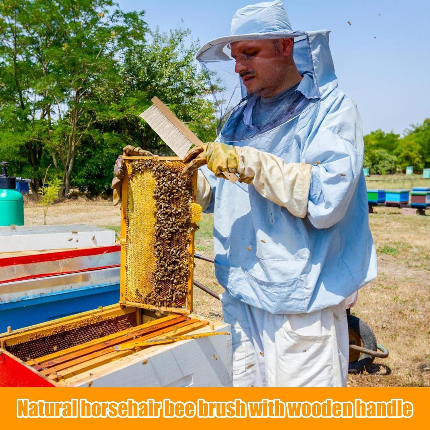 Bee Brush | 15.7&times;3&times;0.4 Inch Bee Brush for Beekeepers | Cleaning Beehive Tool with Wooden Handle Natural Horsehair Honeybee Supplies for Men Women Beginners image number 5