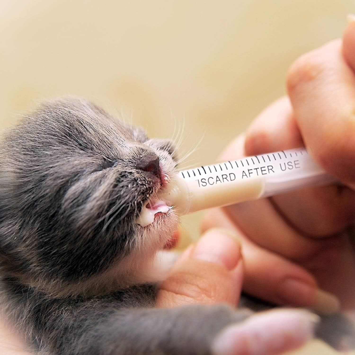 50PCS 2Ml Bulk Plastic Syringes without Needle with Measuring Device for Science Lab, Feeding Pets, Liquid Measurement, Industrial,Individually Sealed image number 2