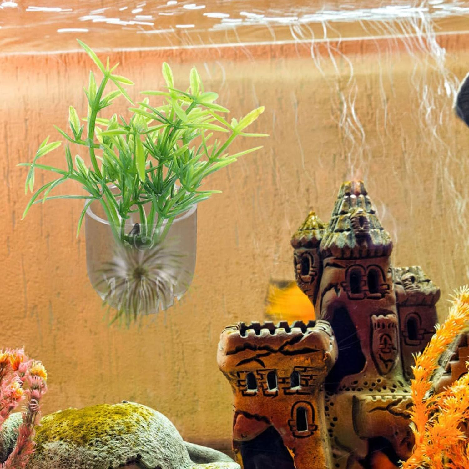 6PCS Fish Tank Aquatic Red Worm Feeder, Acrylic Aquarium Fish Feeder Holder with 6 Suction Cups, Aquarium Clear Acrylic Shelf,Plant Holder for Aquarium Fish Feeding Cups Fish Food Container image number 3