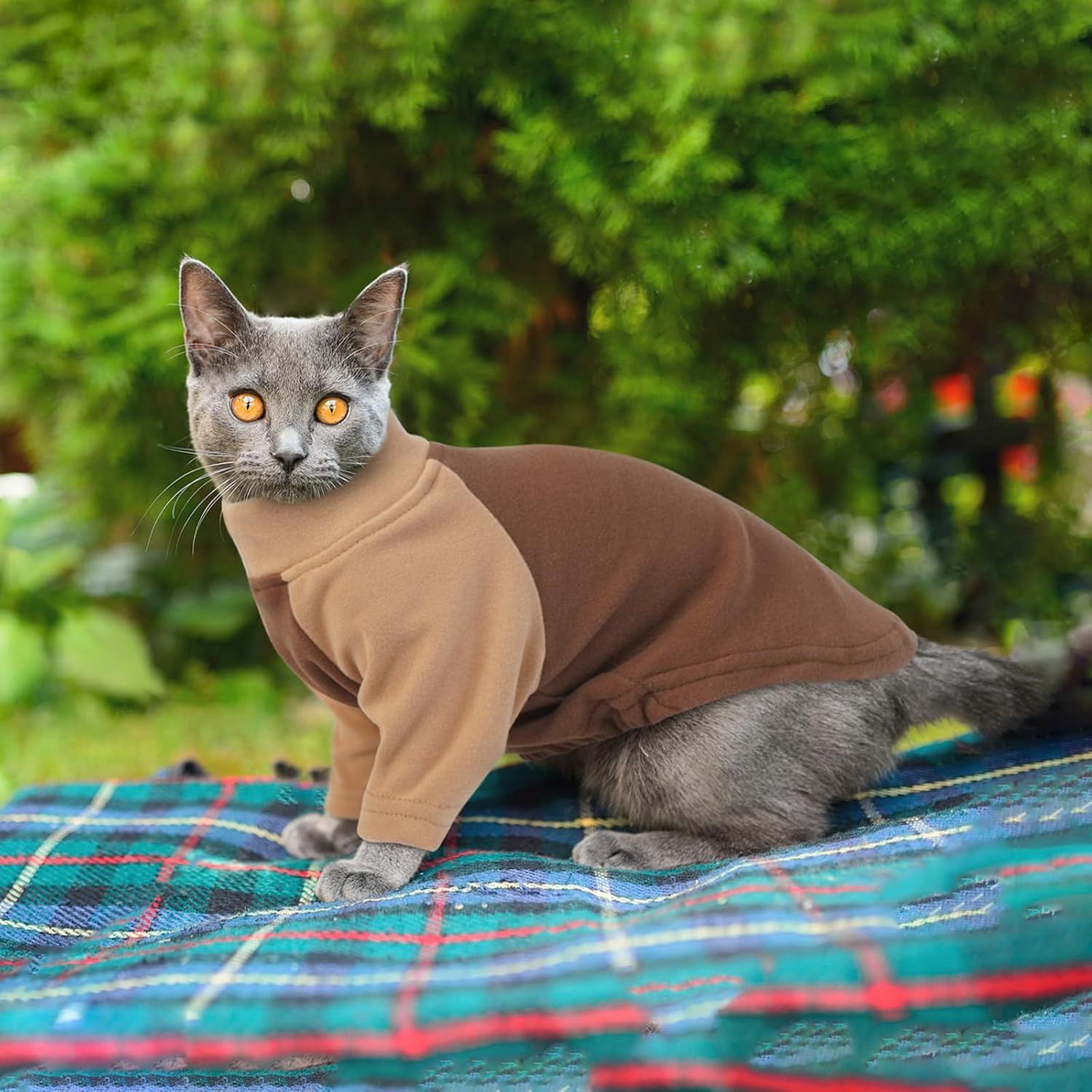 DENTRUN Cat Jumper, Cat Sweater, Cat Fleece, Cat Warm Coat, Cat Pajamas, Hairless Cat Outfit, Cat T Shirt, Cold Weather Cat Pullover,Cat Cloth image number 2