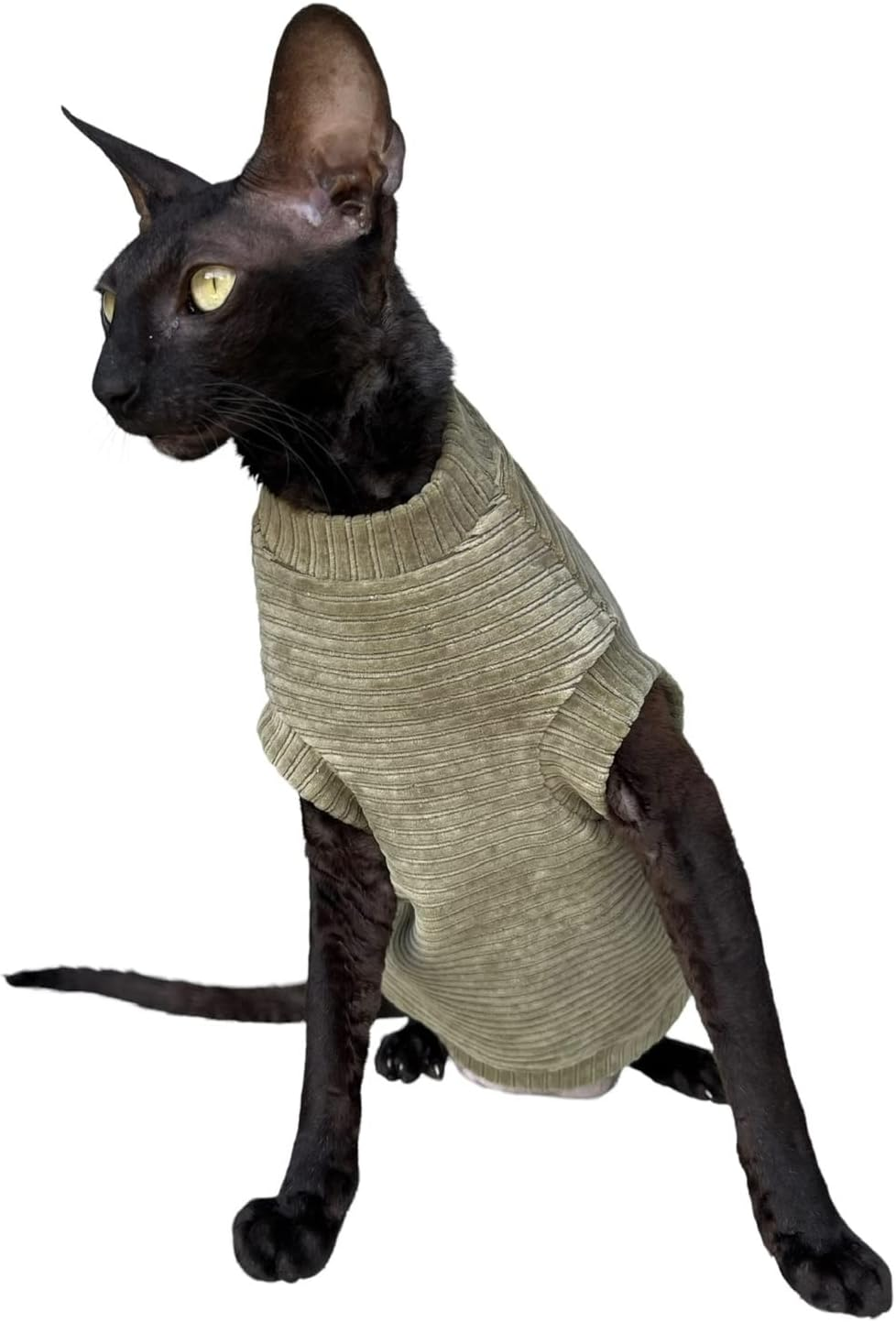 Kotomoda Hairless Cat'S T-Shirt Olives for Sphynx Cat (X-Large) image number 3