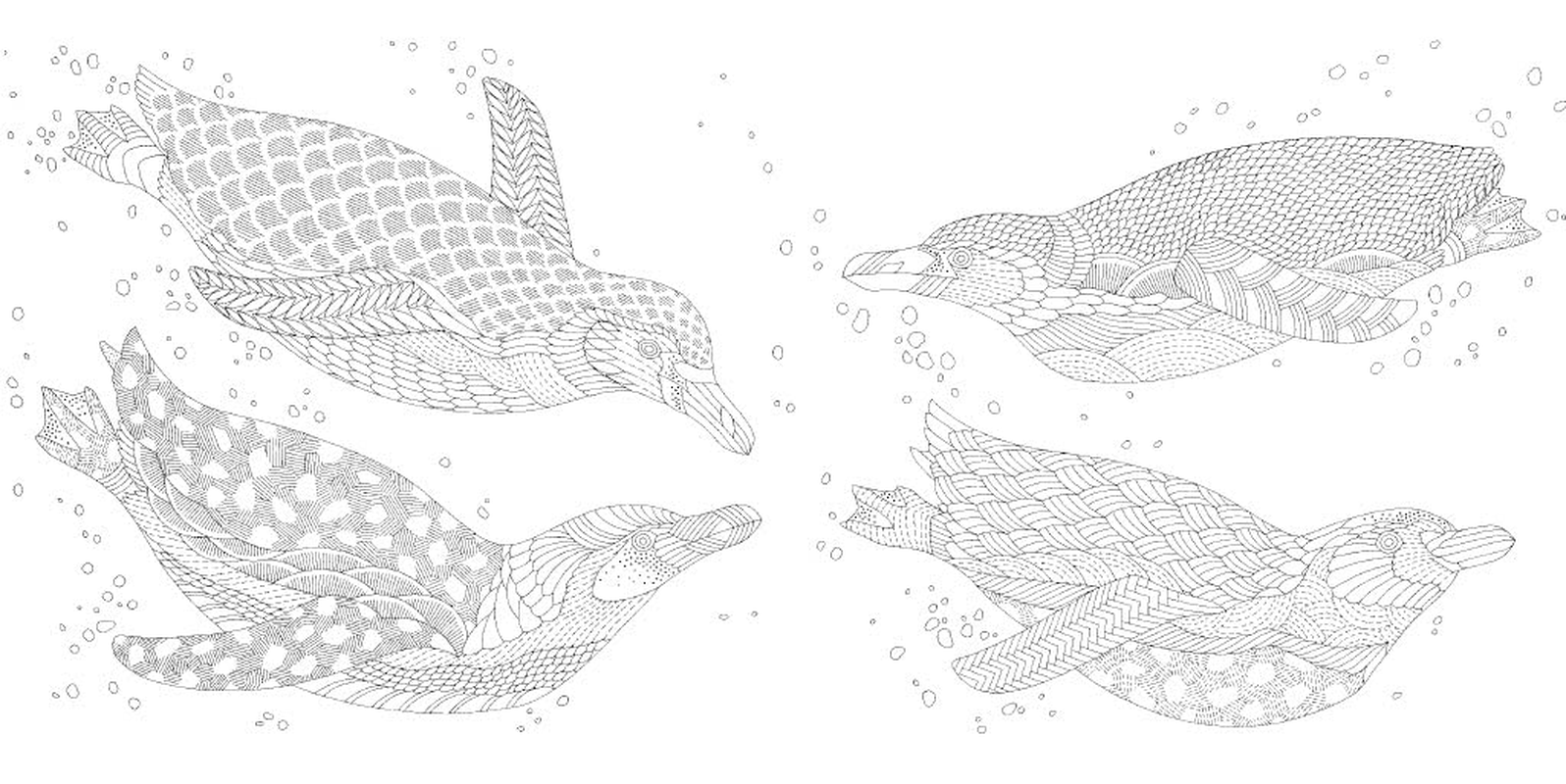 Millie Marotta'S Secrets of the Sea Pocket Colouring image number 1