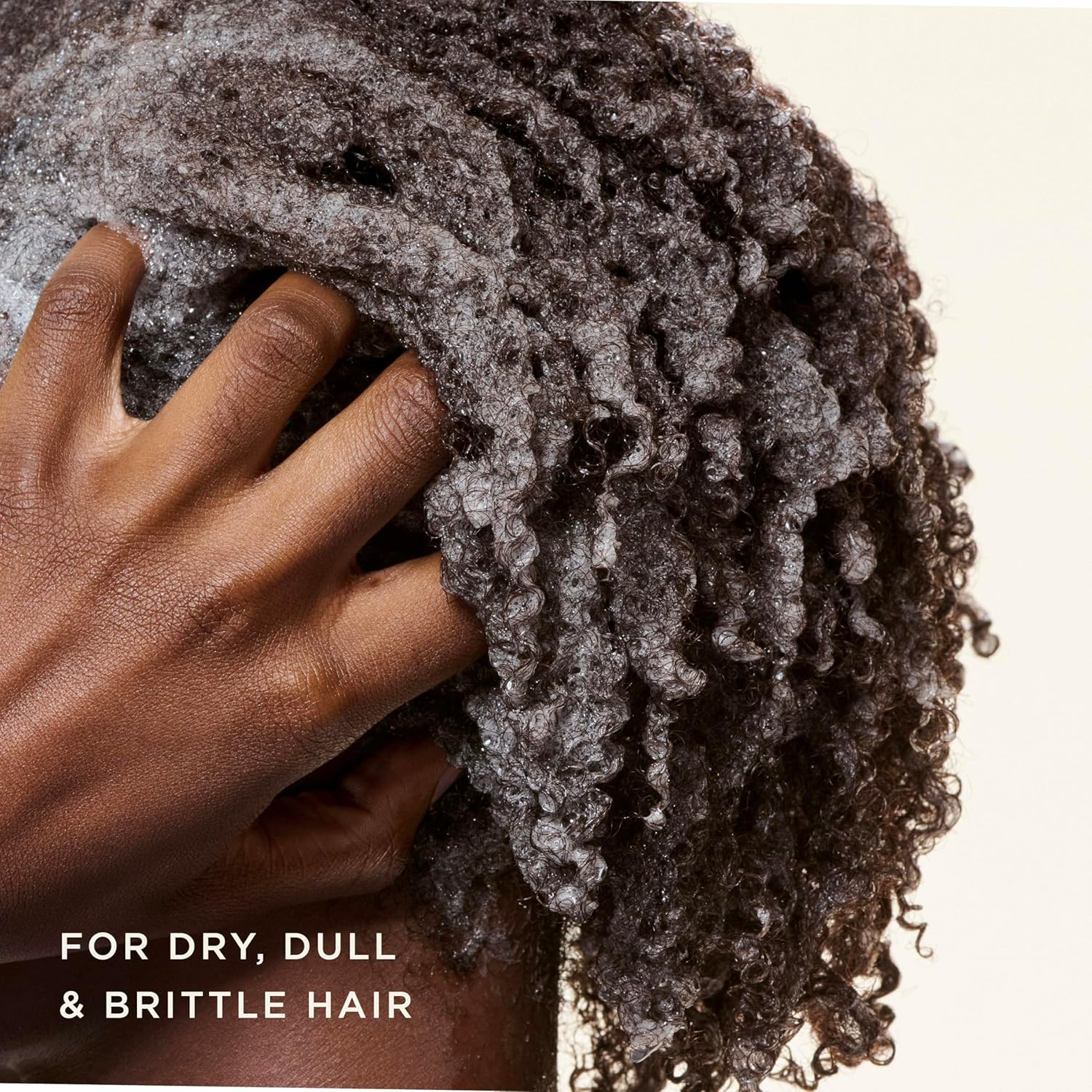 Carol'S Daughter Black Vanilla Moisture Sulfate Free Shampoo for Curly, Wavy or Natural Hair, Moisturizing Hair Care for Dry, Damaged Hair, 12 Fl Oz image number 1