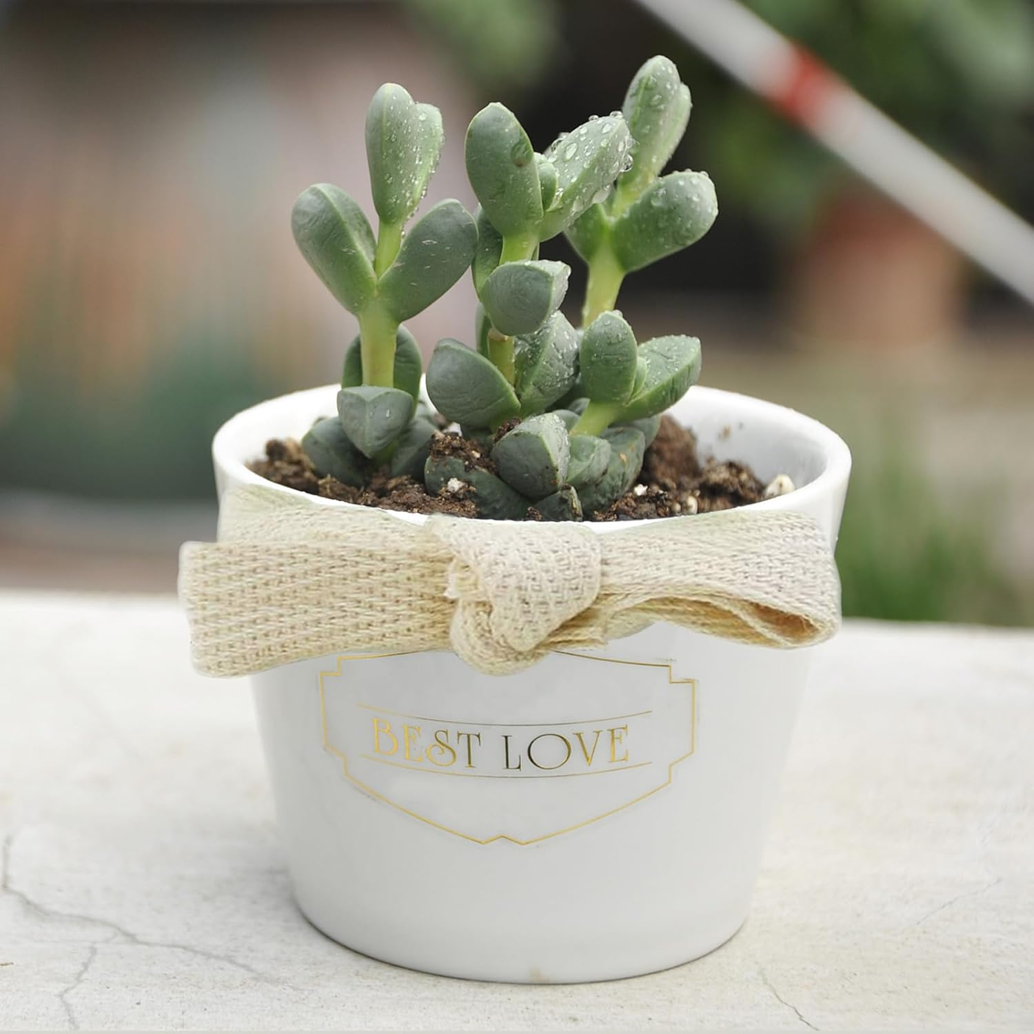 Cotton Twill Tape 20Mm, 50M Bias Binding Bunting Tape for Sewing Herringbone Cotton Webbing Tapes Ribbon for Sewing Craft Beige image number 4