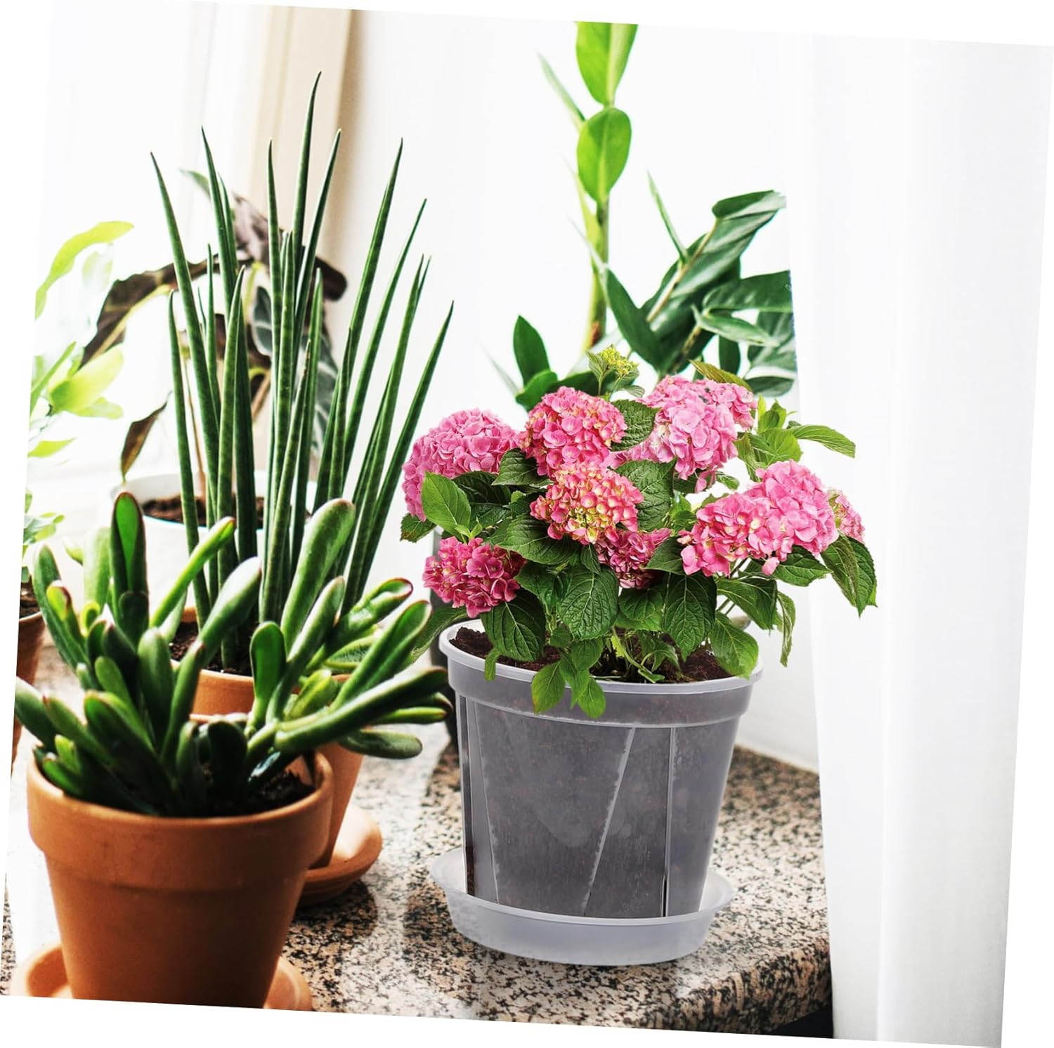 TOBBOMEY 4 Pcs Breathable Root Control Planting Pots with Drainage Trays 0.3 Gallon Plastic Planters for Indoor Orchid and Succulent Gardening image number 1