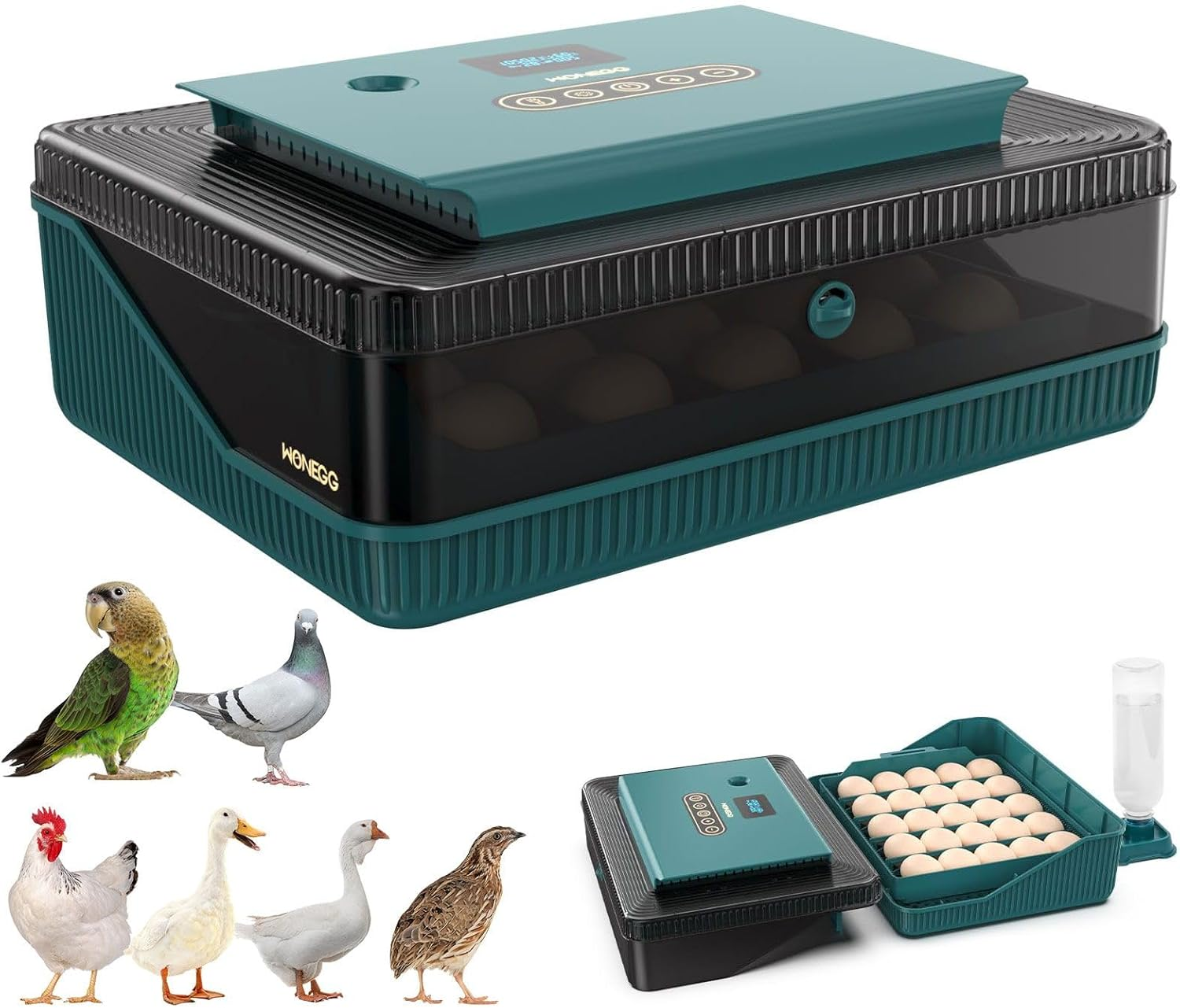 Pet Scene 25 Egg Incubator Auto for Hatching Chicks with Automatic Egg Turner Pro, Humidity Display, Egg Candler, Egg Incubator for Chicken, Duck image number 3