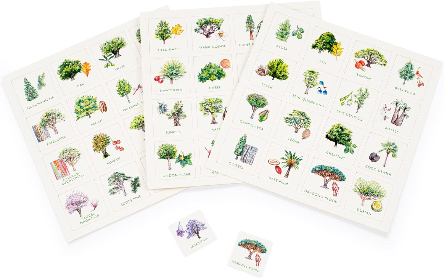 Tree Bingo image number 5