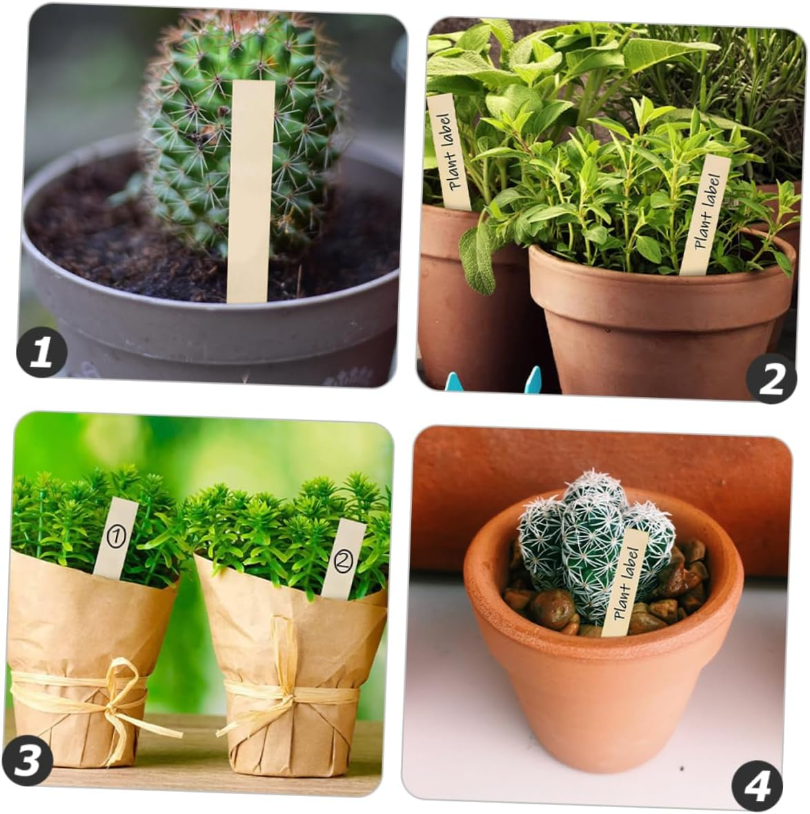 30Pcs Wooden Garden Markers Blank Plant Labels 2X15Cm Linden Wood Plant Name Tags for Flower Beds Succulent Garden Stakes for Outdoor Gardening image number 5