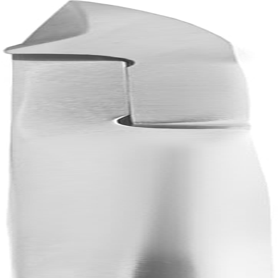 STALEKS PRO Toenail Scissors 21-7Mm