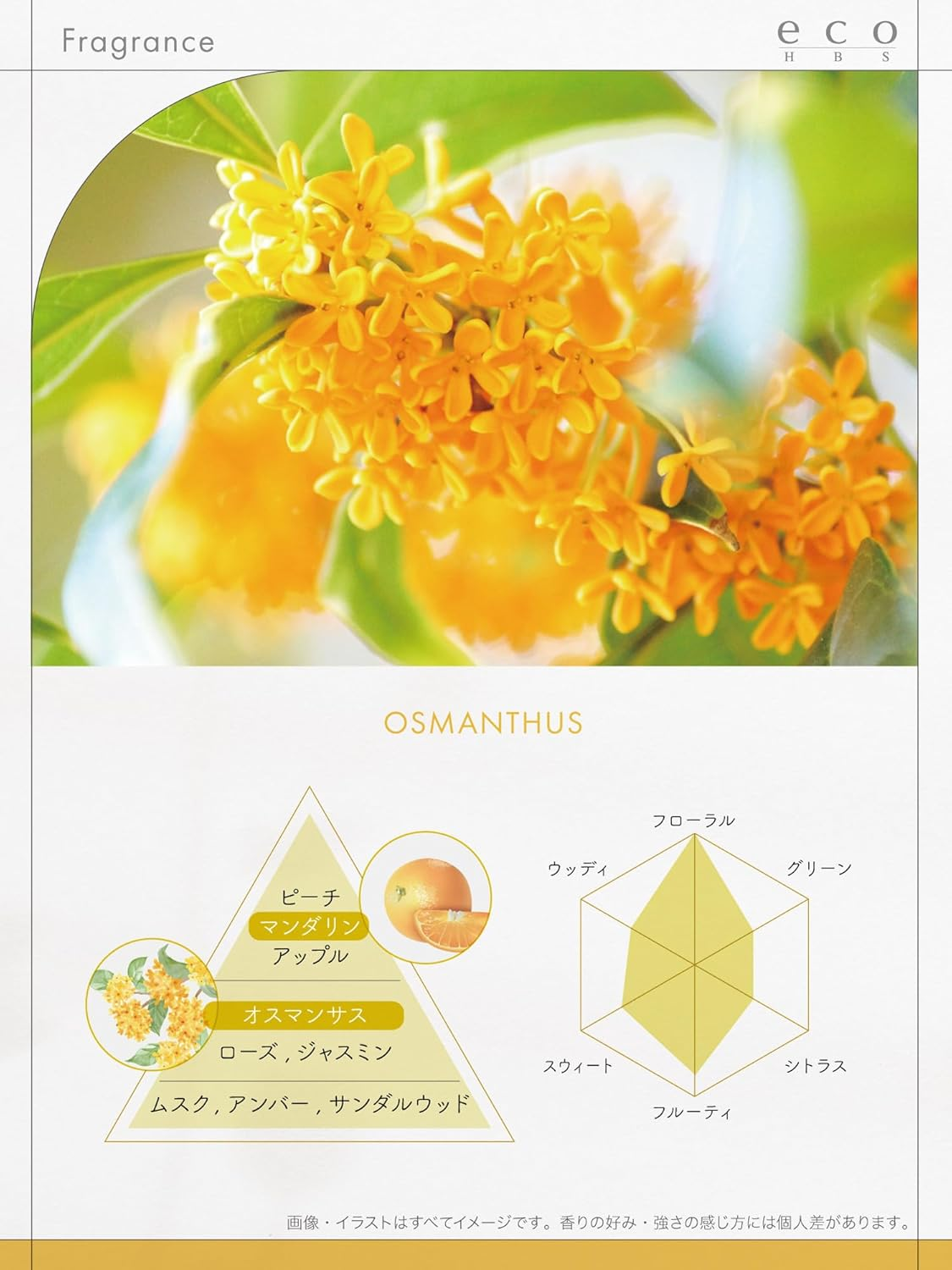 Eco HB-S Shampoo (Kinnmokusei), 16.9 Fl Oz (500 Ml)