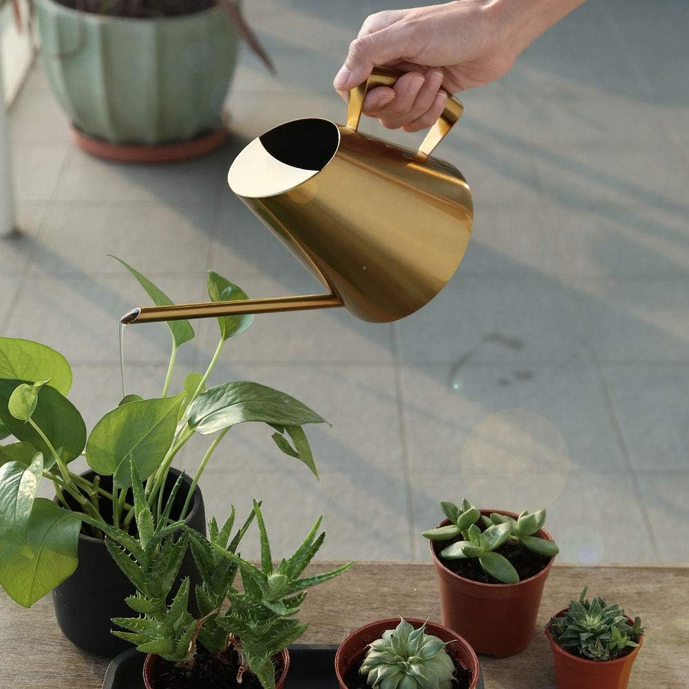 Stainless Steel Watering Can Sprinkle Pot Mouth Garden Flowers Plants Flower Tool (900Ml) image number 4