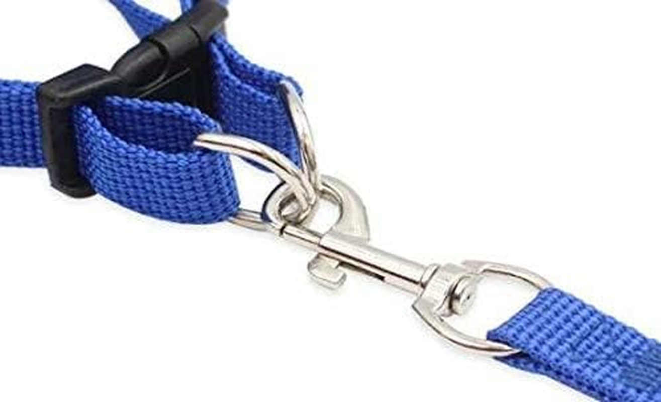 4M Pets No-Pull Reflective Mesh Dog Harness & Leash &ndash; Breathable, Step-In Vest for Small & Medium Dogs ( Blue M ) image number 4