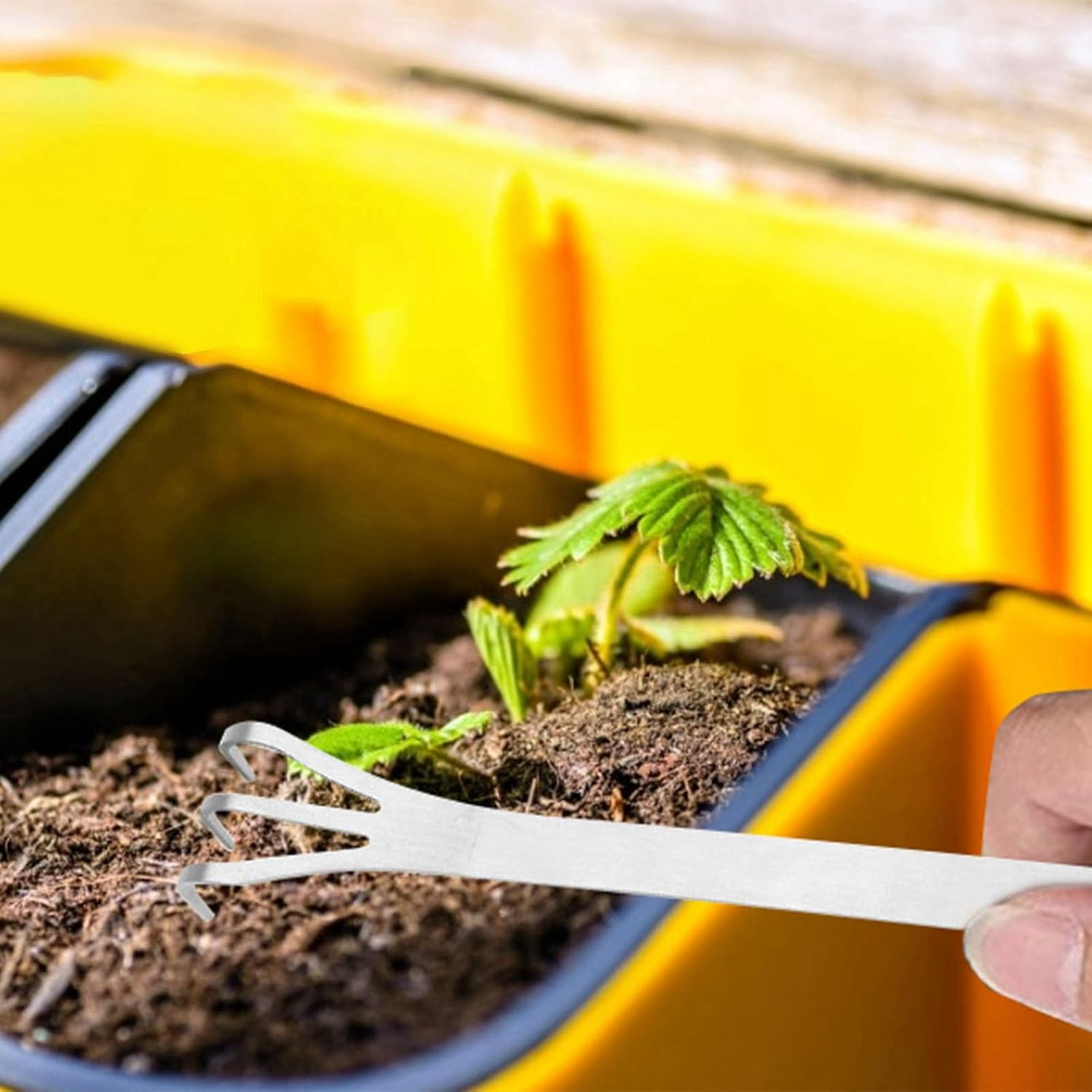 Stainless Steel Rake 3 Prong Loosen Soil Bonsai Tree Tools, Ergonomic Handle for Easy Gardening Enjoyment image number 1