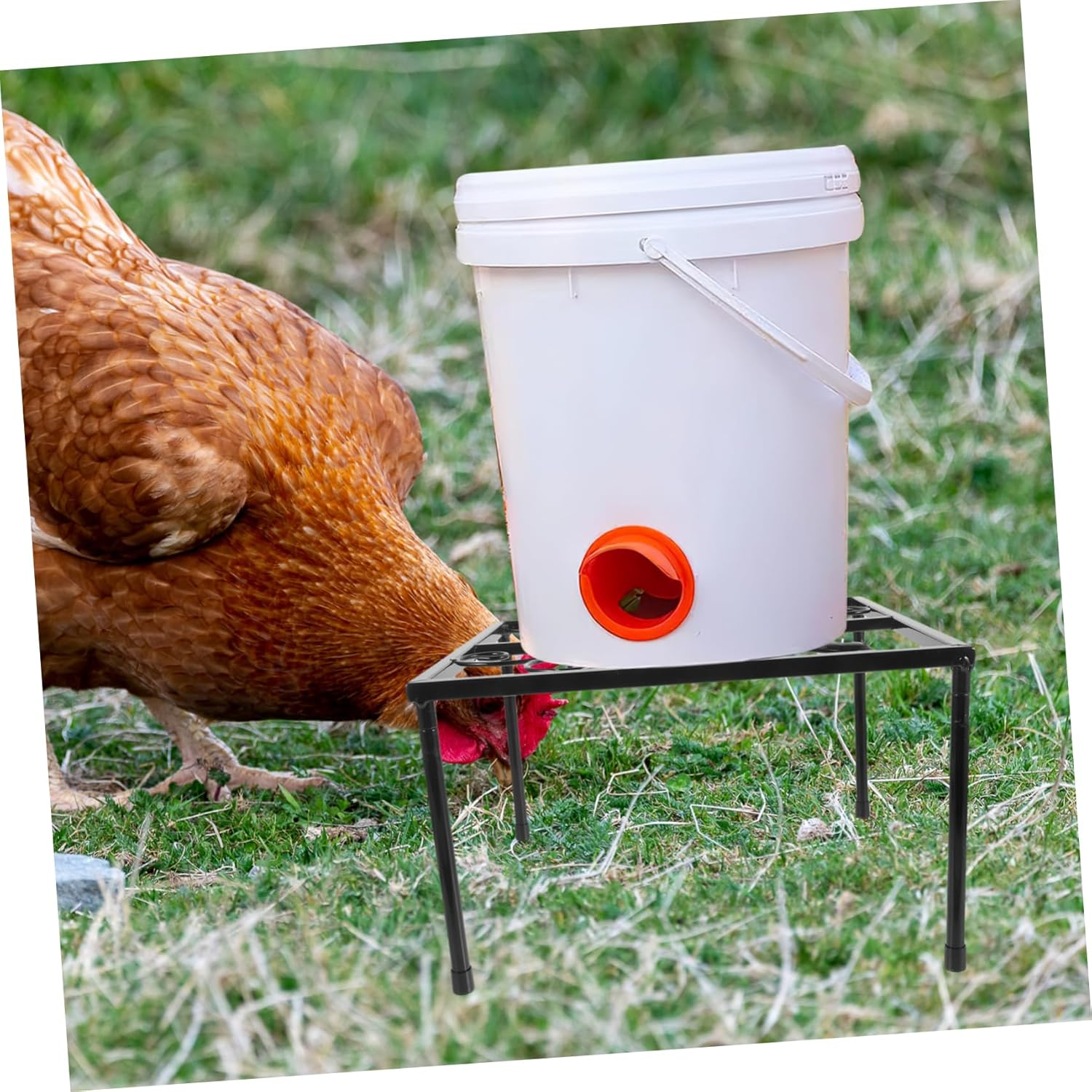 VANZACK Chicken Water Feeder Holder Chicken Feeder Holder Coop Feeder Holder Metal Feeder Stand Waterer Stand Metal Chicken Feeder Metal Stand for Waterer Metal Waterer Holder Iron image number 3