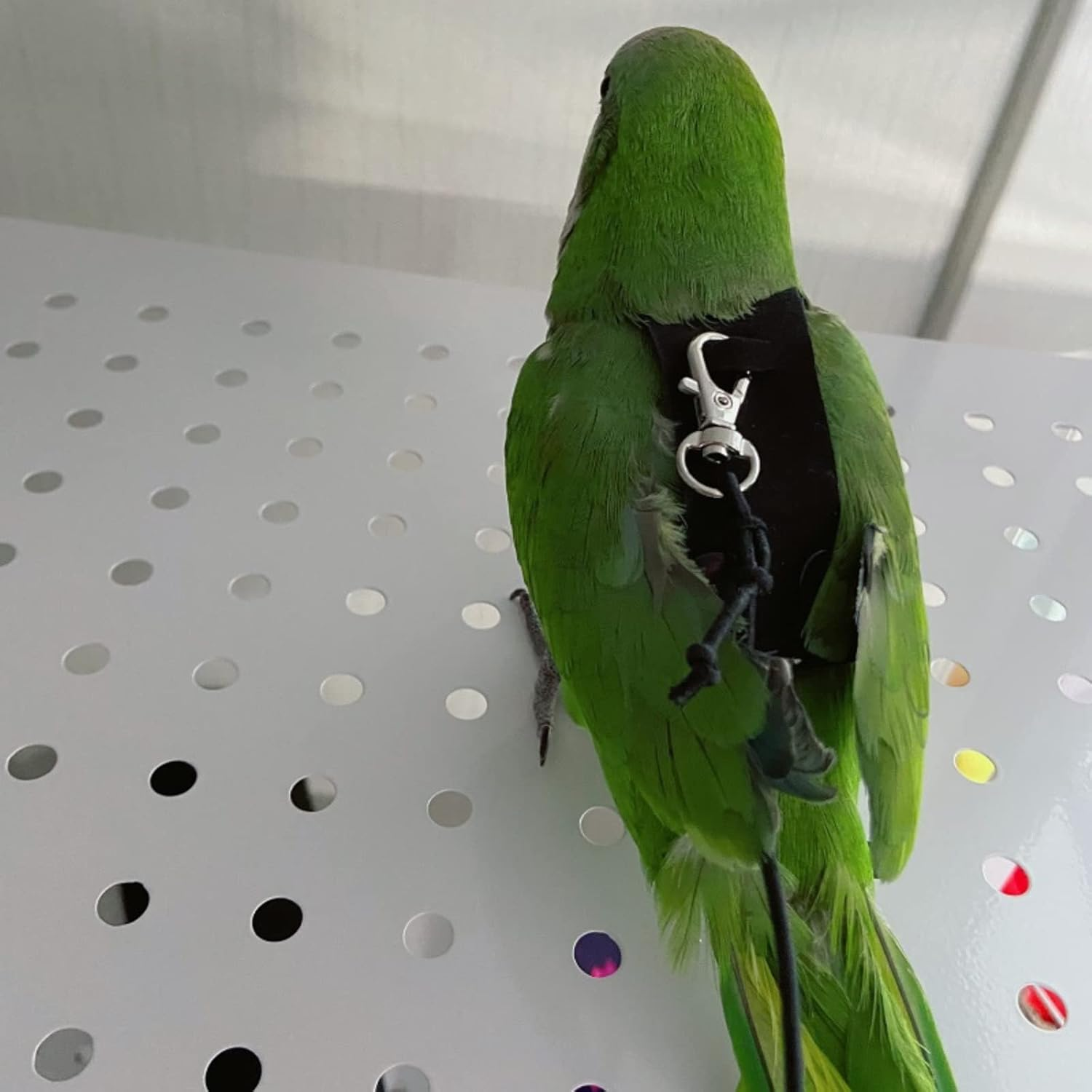 Bird Flight Harness Vest, Parrot Flight Suit with Leash for Parakeets Cockatiels Conures Budgies, Bird Flying Clothes with Rope and Handle for Outdoor Activities Training, anti Bite (Medium) image number 6