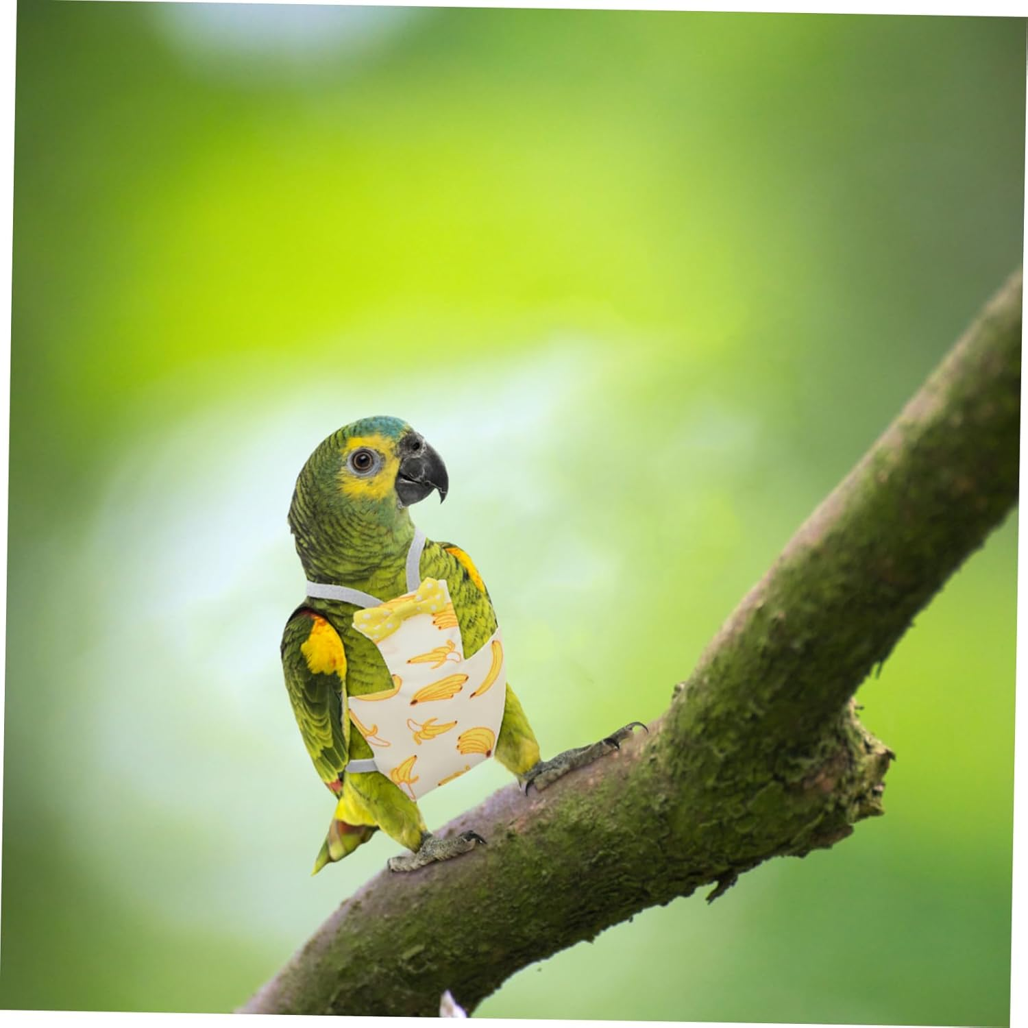 HANABASS 2Pcs Bird Flying Clothes Parrot Diapers Fruit Pattern Breathable Nappy for Budgies Lovebirds Cockatiels Accessories for Parties and Holidays