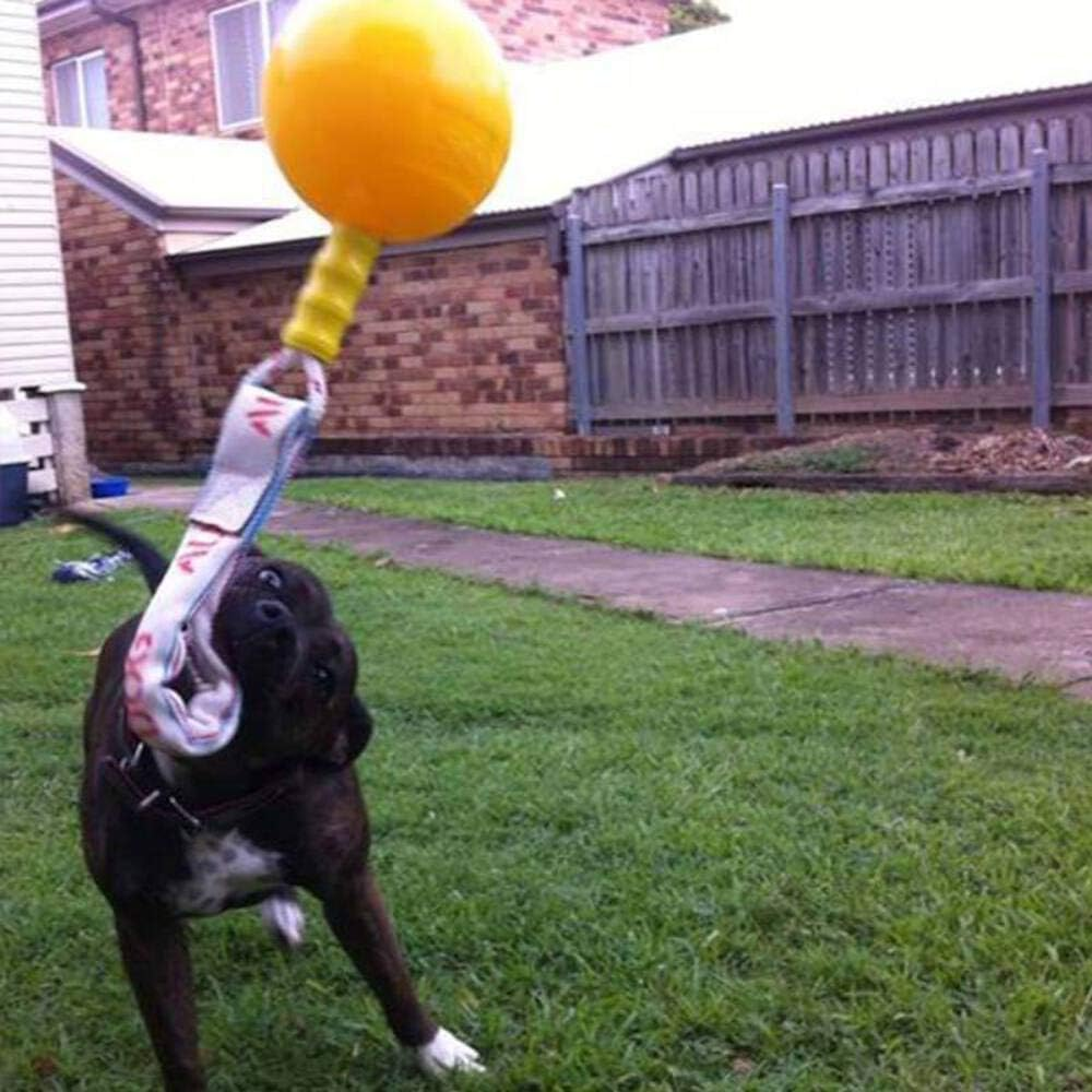 Aussie Dog Home Alone, XL, XL, Yellow image number 2