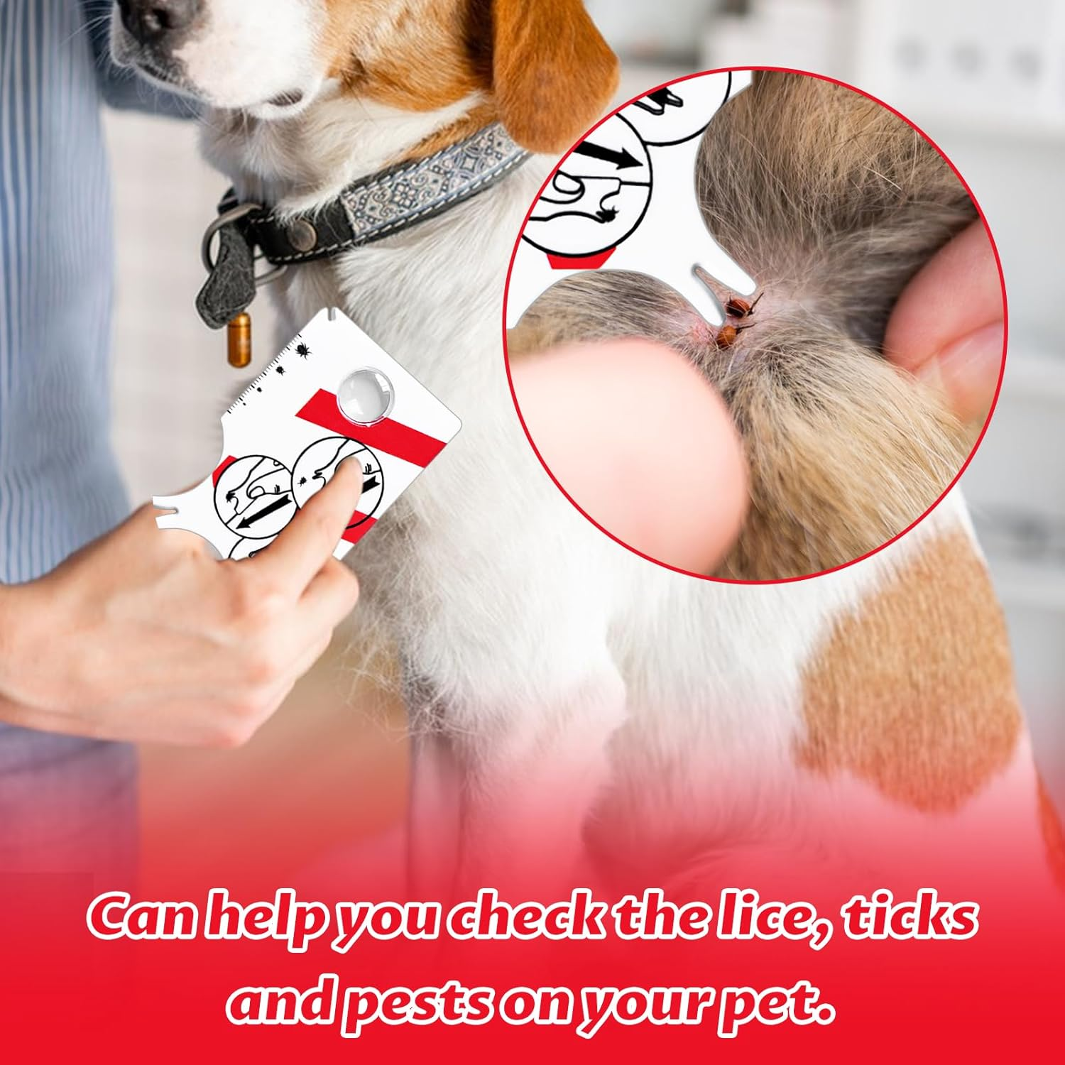 Colorich Pack of 2 Tick Cards Human, Tick Card Dog Cat Tick Removal Tick Card with Magnifying Glass for People Children Dogs Cats image number 6