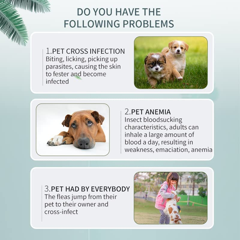 Pets4Luv Flea and Tick Collar for Dogs, Natural Flea and Tick Prevention for Dogs, 8 Months of Protection, One Size Fits All Dogs, Adjustable and Waterproof Design 3PCS image number 4