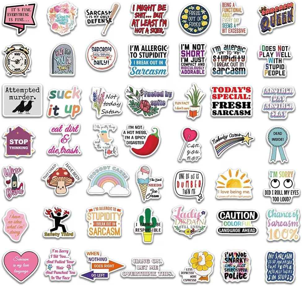 50 PCS Sarcastic Stickers - Funny, Snarky Quotes for Water Bottle, Laptop, Phone, Hard Hat, Bumper & Gifts - Boho Indian image number 2