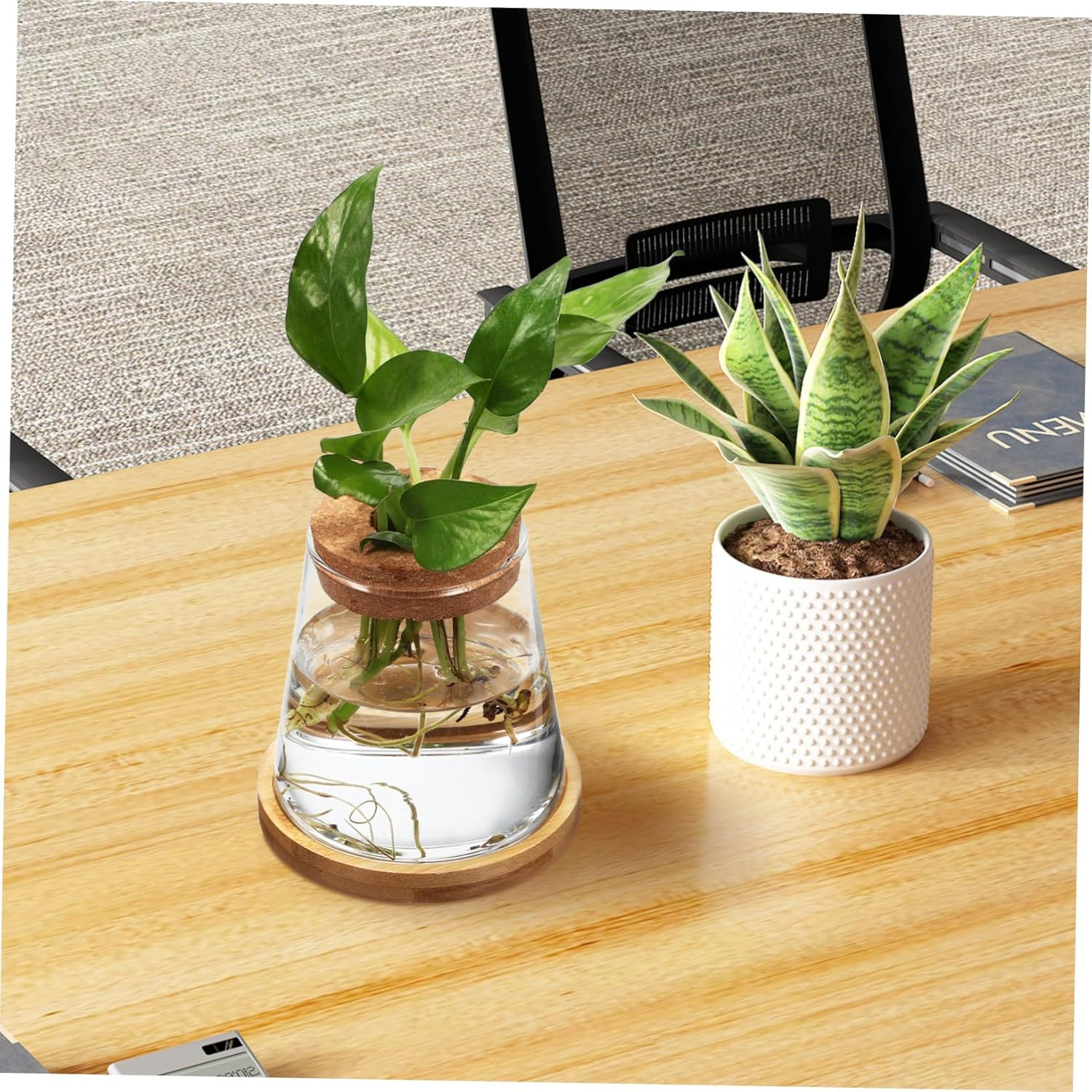 COHEALI 2Pcs Clear Glass Propagation Station with Base Transparent Water Planter Bottles for Hydroponic Plants Compact Vases for Indoor Desk Apartment Office Decoration