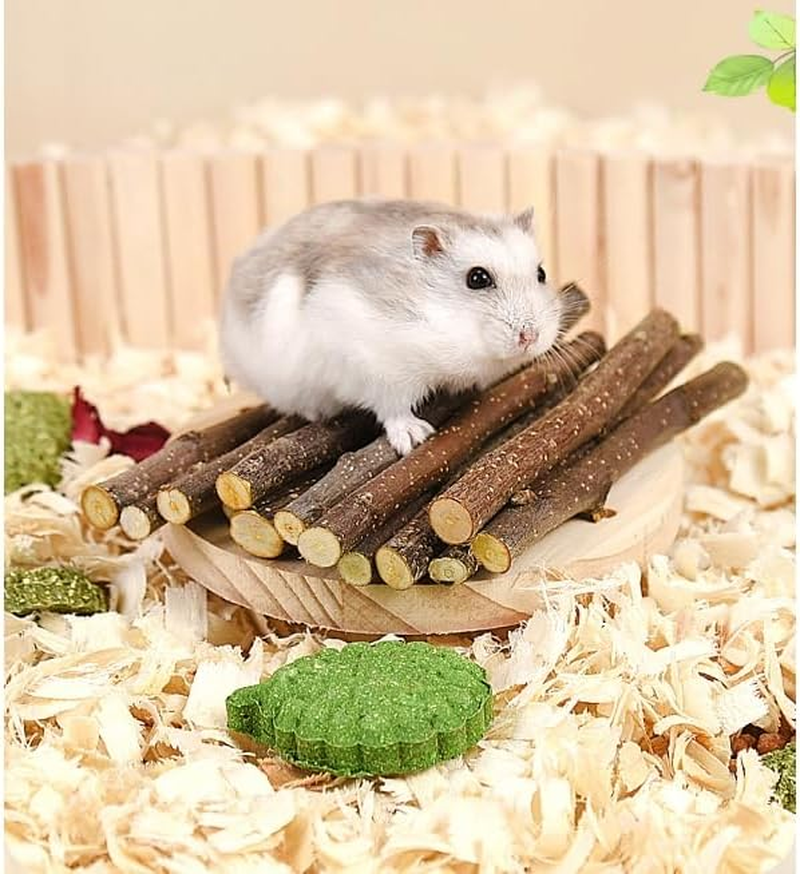 JCBCKJ Apple Sticks Small Animals Molar Wood Treats Toys for Rabbits Chinchillas Guinea Pig Hamster Gerbil Bunny and Small Animal Chew Stick Toys (50G)