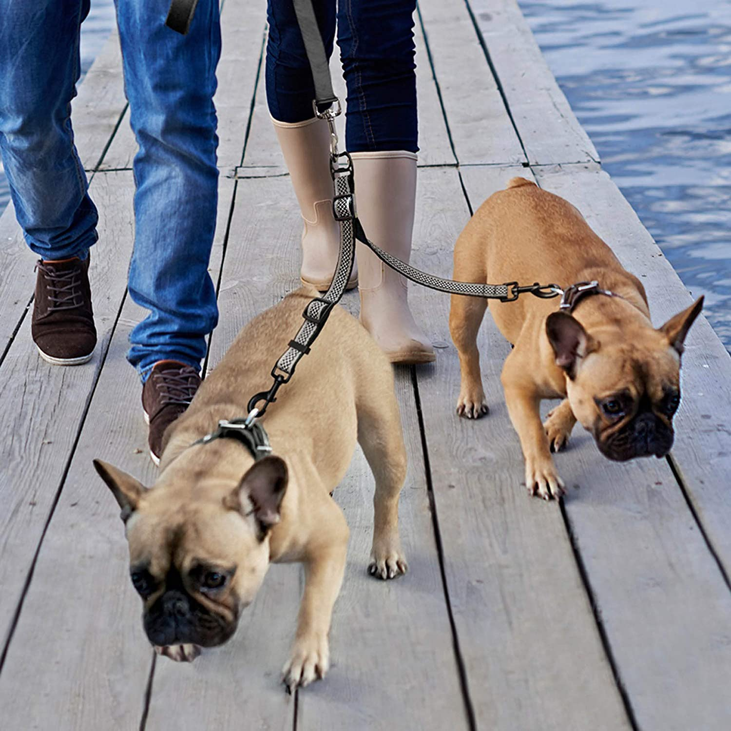 Kurgo Double Dog Leash | Two Dog Lead | Dual Leashes for Dogs | Leash Coupler | Adjustable | Reflective | Tangle-Free | Double Dog Leash Extender image number 2