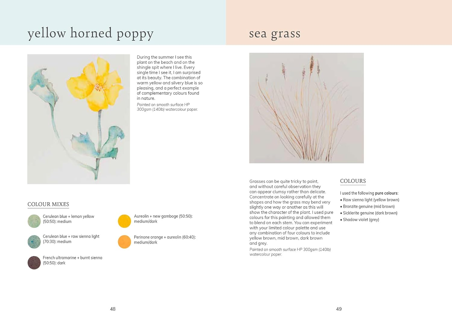 Watercolour Seashore image number 5