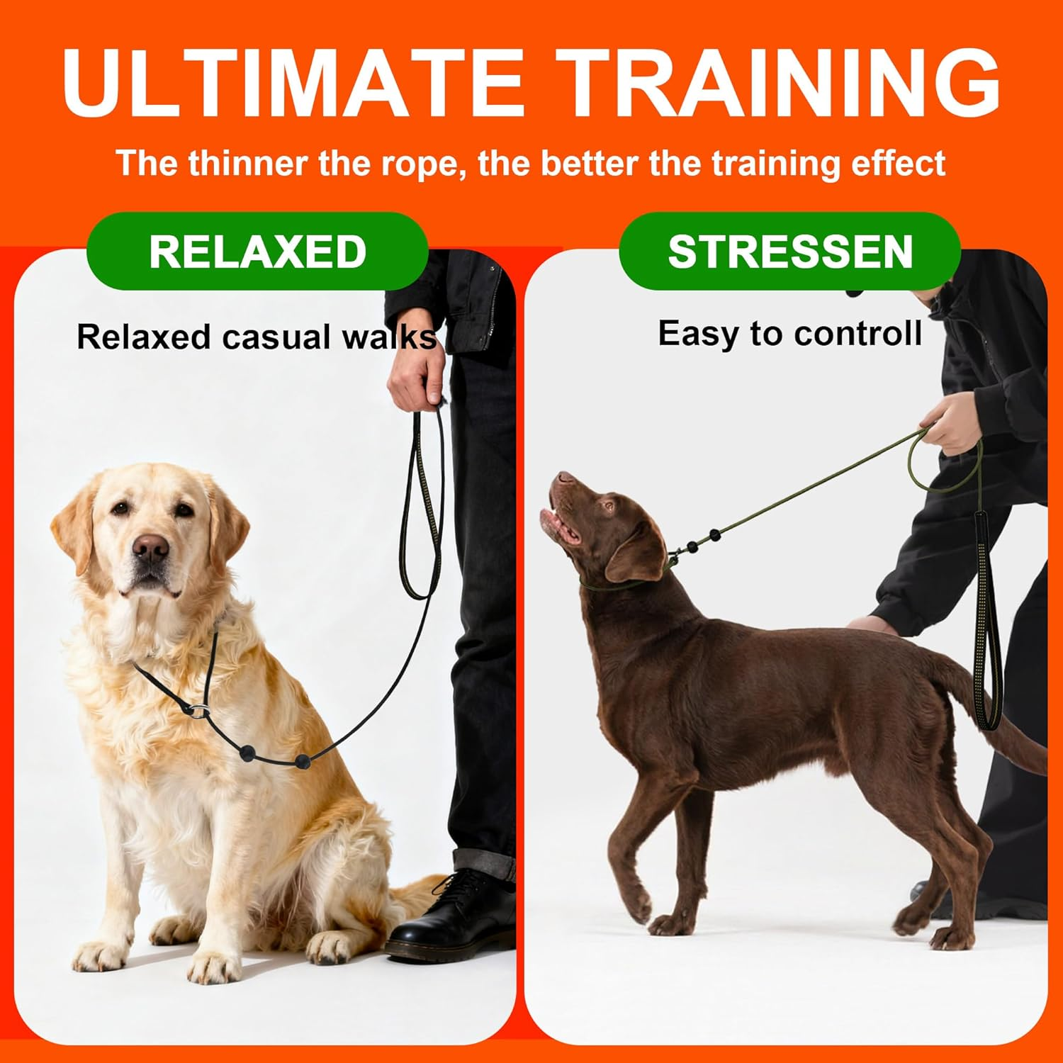 Beaugo Slip Leads for Dogs,Top Speed Training Dog Leash,2-In-1 Slip Collar Dog Training Lead & Collar,5Ft Thin Slip Lead,Sturdyand Durable, Leash Suitable for Small, Medium, and Large Dogs(Dark Green image number 7
