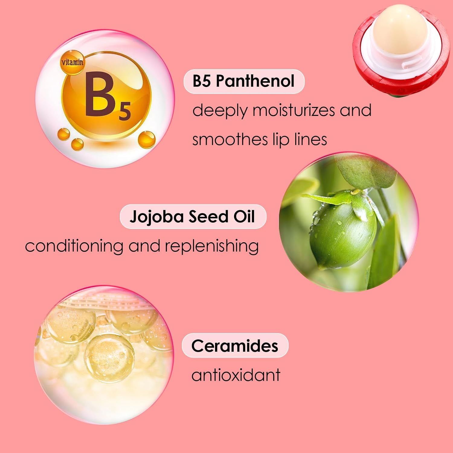 KISSIO Lip Balm,Strawberry Lip Care with B5 Panthenol,Jojoba Seed Oil and Ceramide,Moisturize and Soothe Chapped Lips,Reduces Lines and Enhances Elasticity,Cruelty Free,Strawberry image number 3