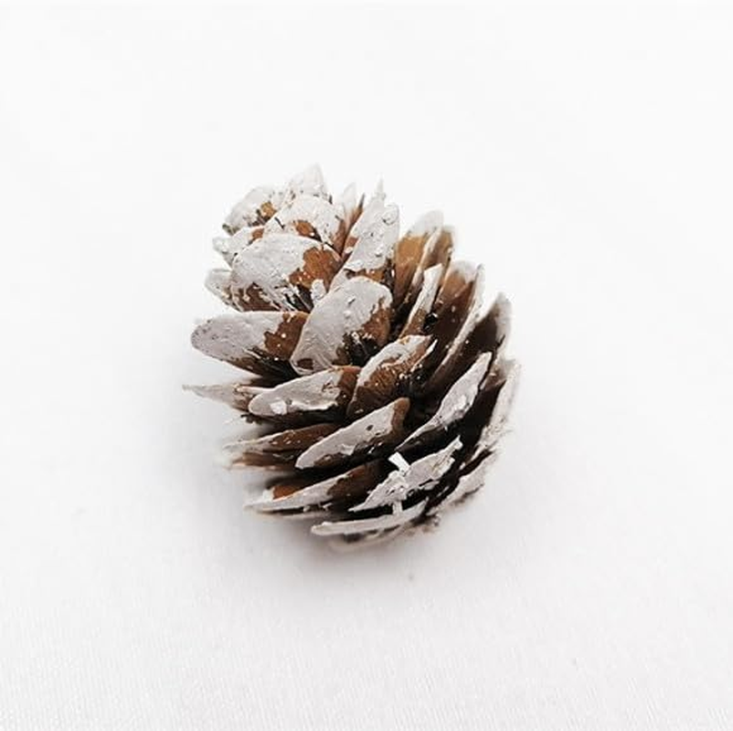 180 PCS Rustic Mini Pine Cones, White Christmas Snow Pinecones Ornaments,Wood Frosted Pine Cone Ornaments for Thangksgiving, Christmas, Autumn, Home, Party,Decorations,Diy Crafts and Gifts image number 1