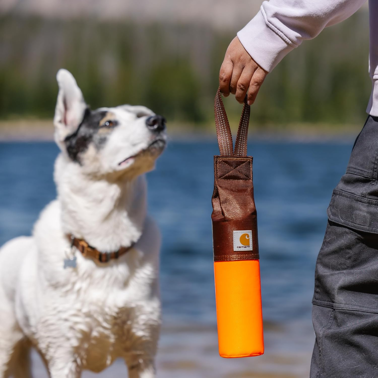 Carhartt Pet Pet Toys image number 1