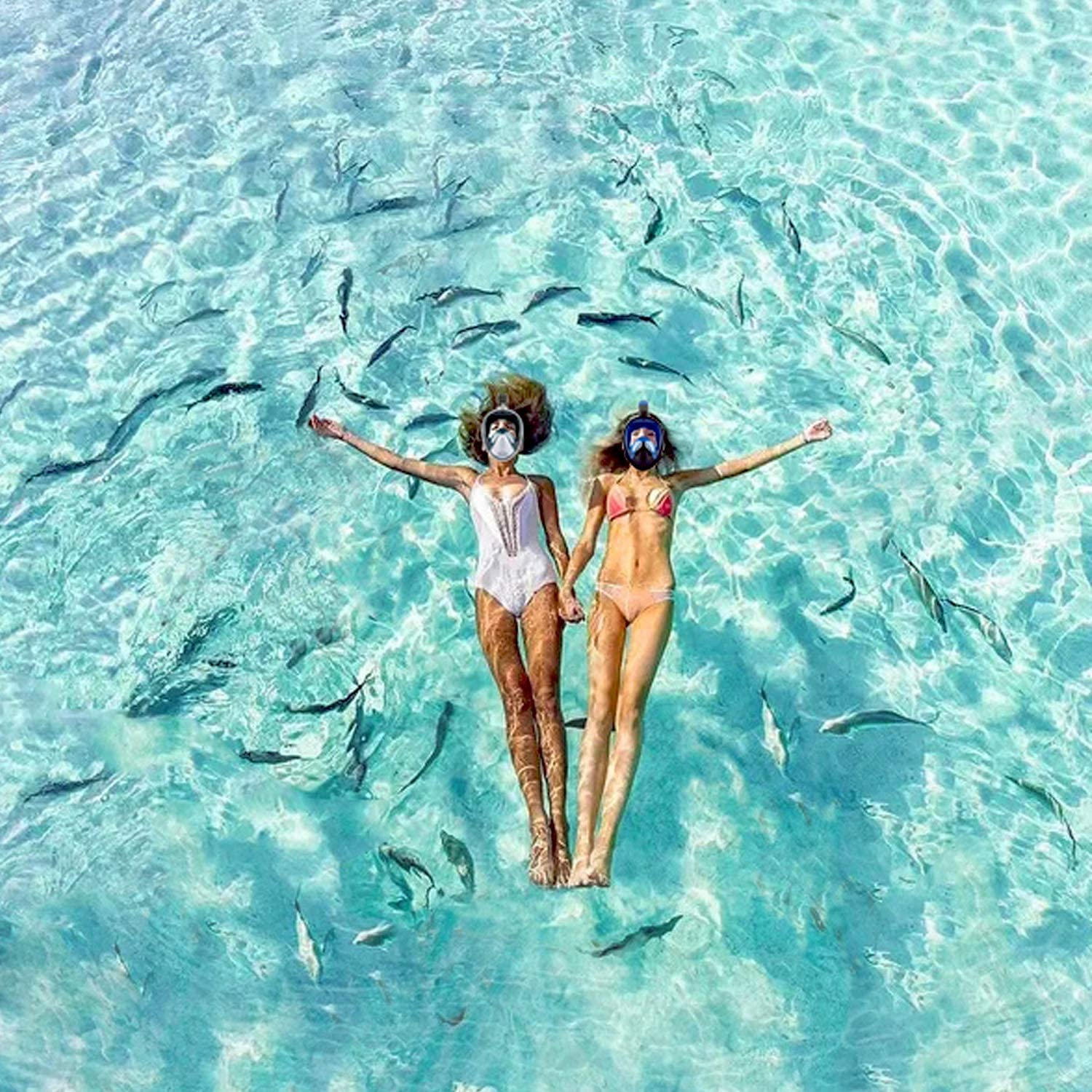 Diving Mask with 180 &deg; Field of View, Full-Face Snorkeling Mask, Anti-Fog / Leak-Proof Diving Mask, Full-Face Mask(S/M) image number 1