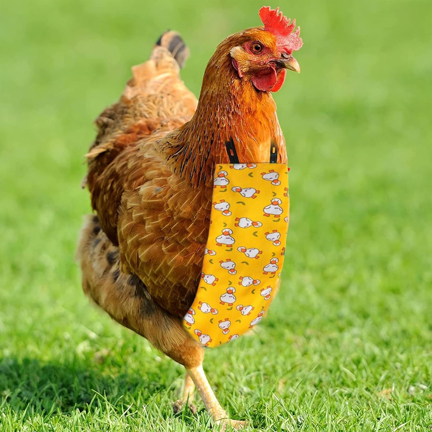 Chicken Chicken Clothing & Diapers by Reusable Division Nappies | Washable and Beak Nappies for Chickens, Poultry, Ducks image number 1