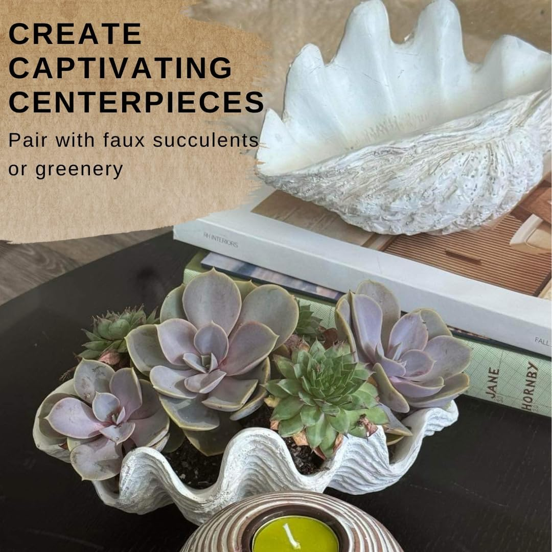 Small Clam Shell Sculpture Replica, 22Cm L X 14Cm W X 11Cm H, Handcrafted White Resin Seashell for Coastal Home D&eacute;cor, or Trinket Dish for Jewelry, or Keys White image number 3