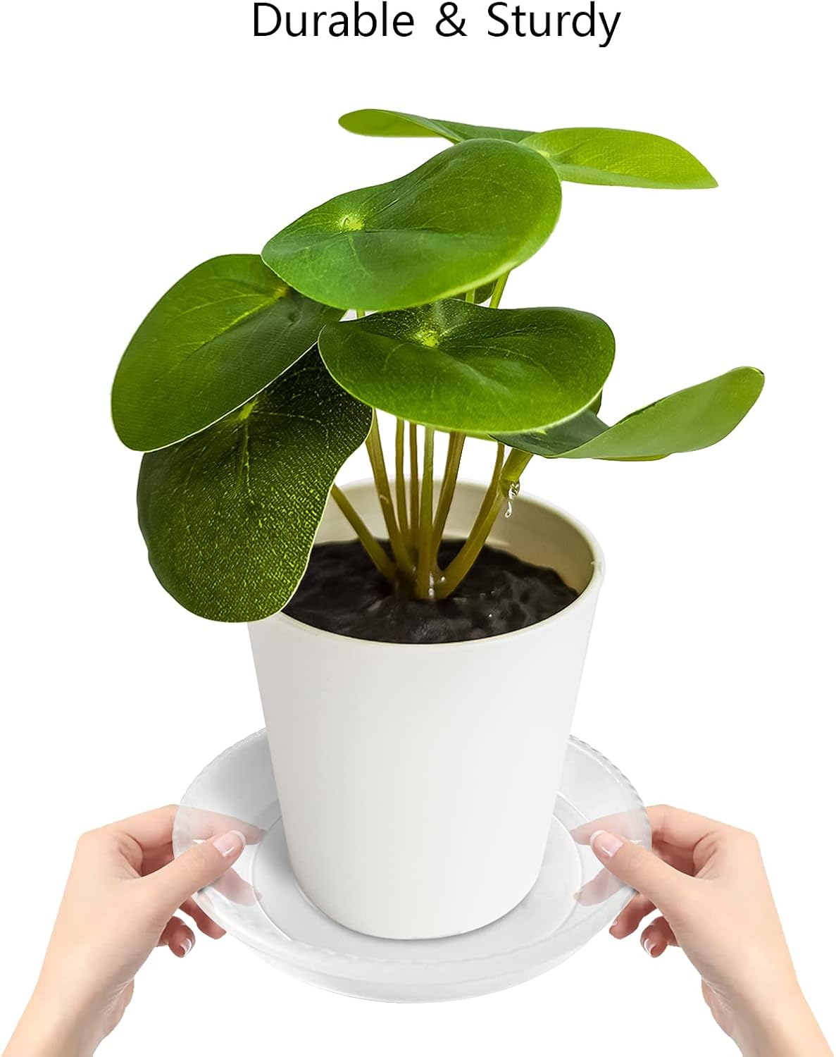 6 Pack Clear Plant Saucer 5 6 8 10 12 14 Inch, Plastic Plant Trays for Indoor, round Flower Plant Pot Saucer, Sturdy Plant Water Catcher Tray image number 5