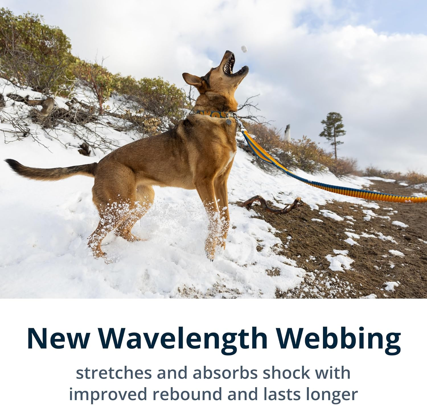 RUFFWEAR Roamer Bungee Dog Lead, Running Dog Leash, Extendable Dog Lead, Hand Held or Waist Worn Lightweight Adjustable Dog Rope, Premium Pet Accessories for Walks, 1.7-2.1M Long, River Rock Green image number 6