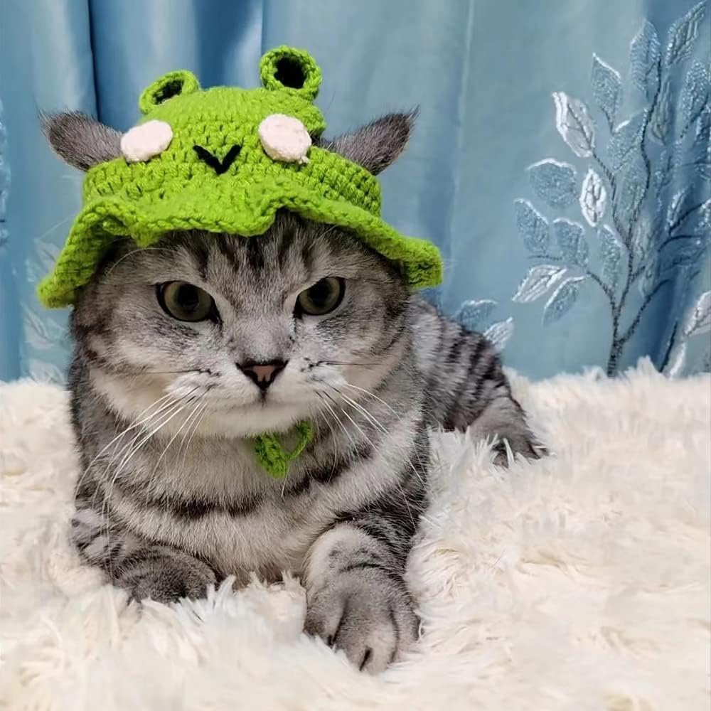A Super Cute Knitted Frog Hat,Perfect for Cats and Dogs to Cosplay. Dress up Your Furry Friend image number 5