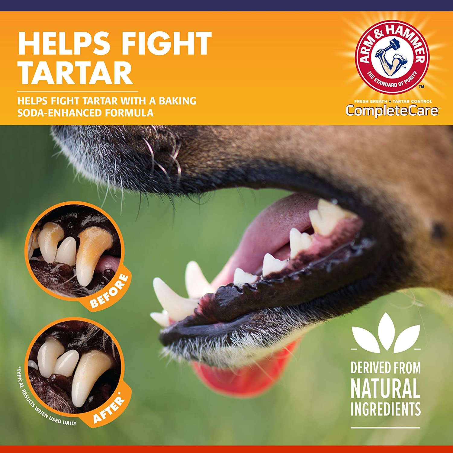 Arm & Hammer Complete Care Dog Dental Kit - Includes: 67.5Gtoothpaste (Chicken), Double Side Toothbrush, Rubber Finger Brush image number 3