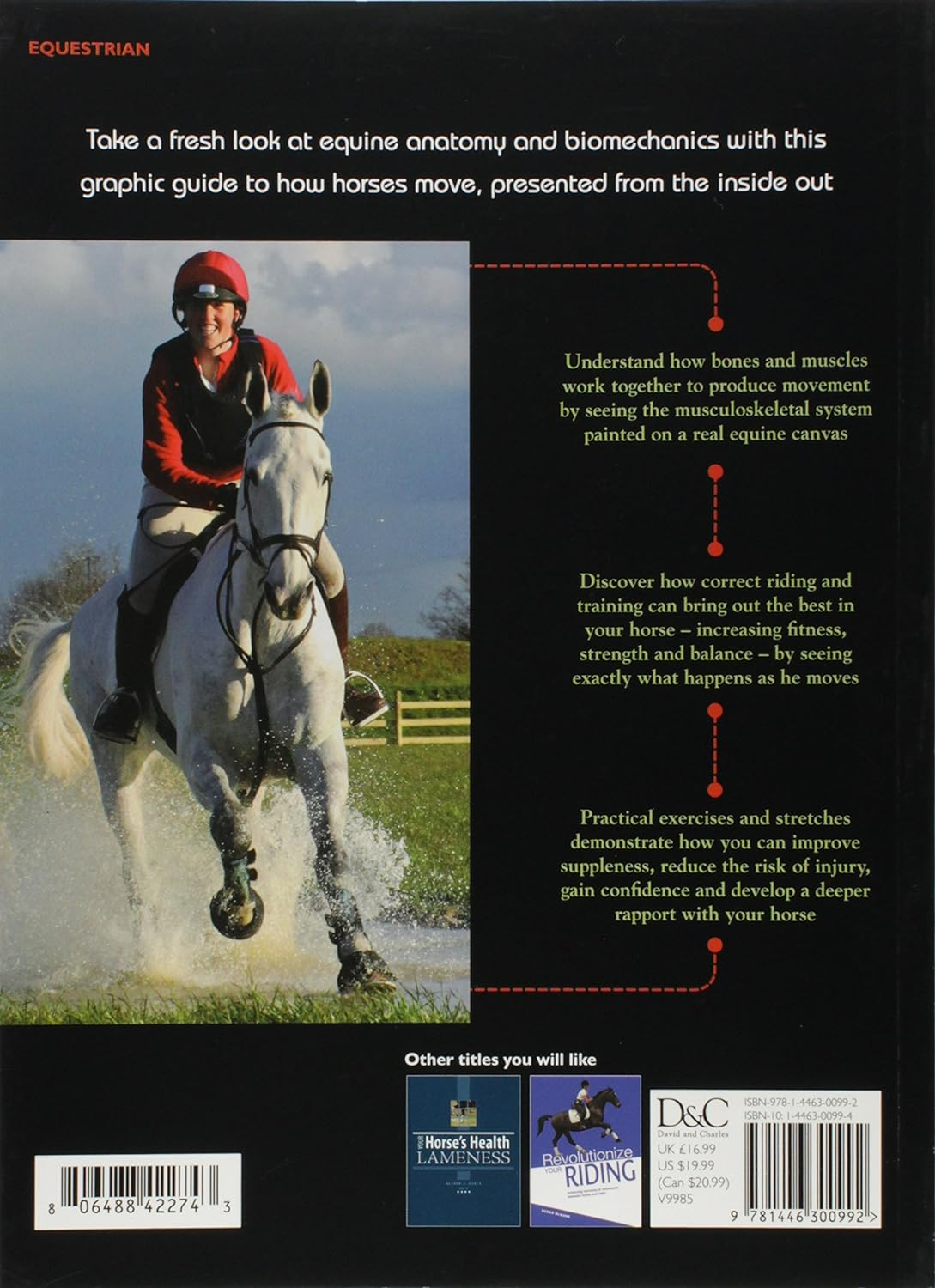 How Your Horse Moves: a Unique Visual Guide to Improving Performance image number 1
